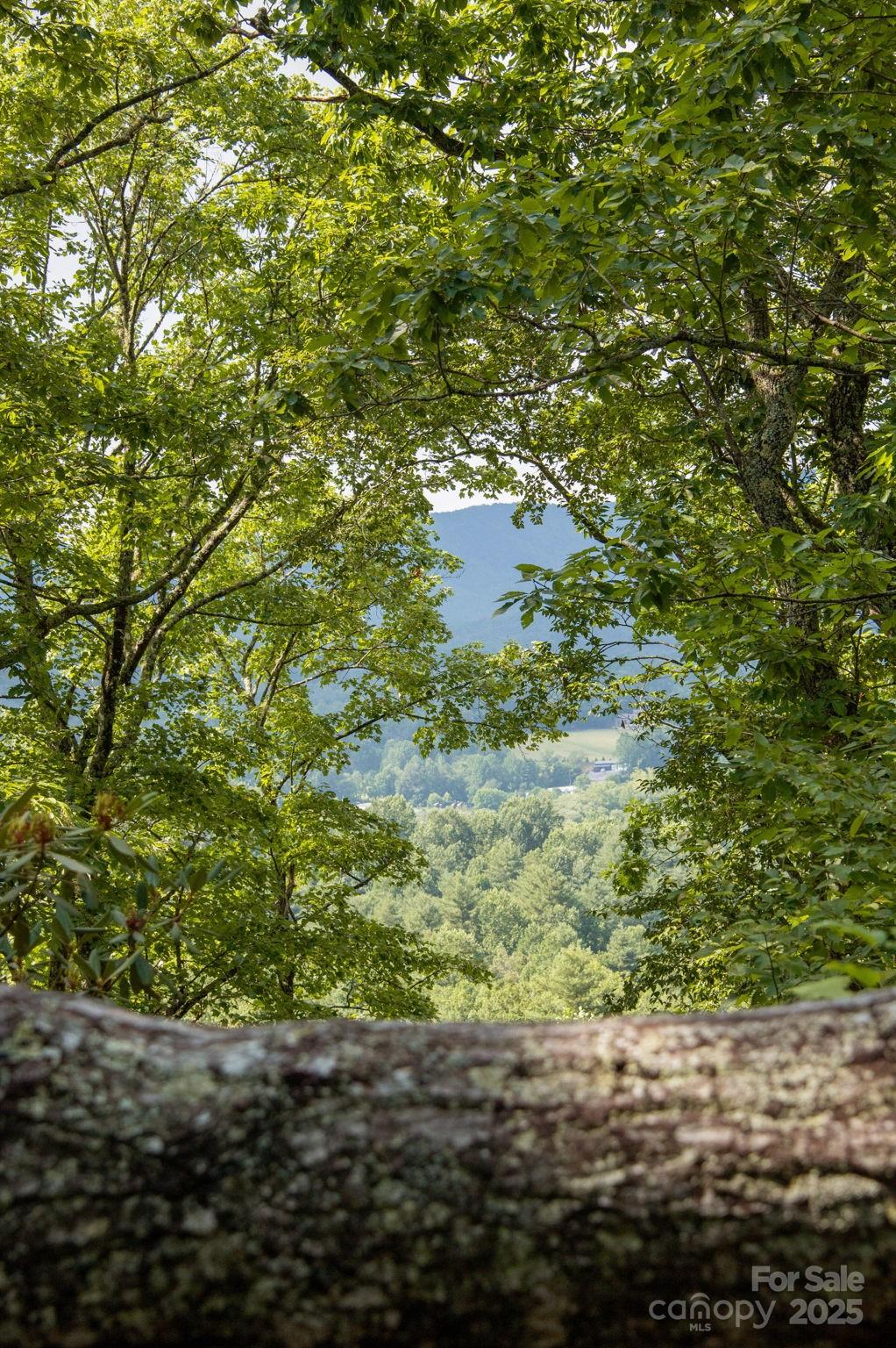 Lot # 2 Masterpiece View Drive 2 Property Photo 9