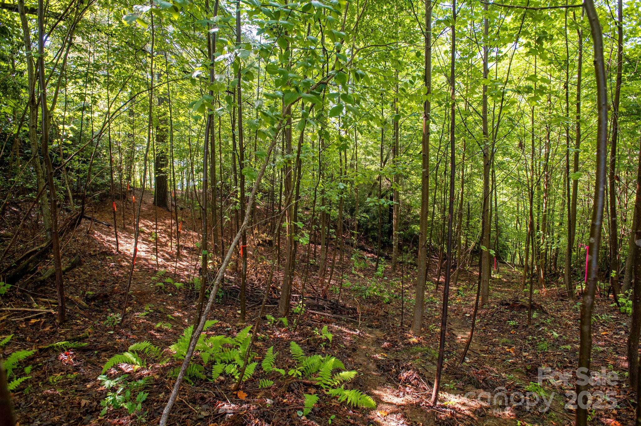 Lot # 2 Masterpiece View Drive 2 Property Photo 14