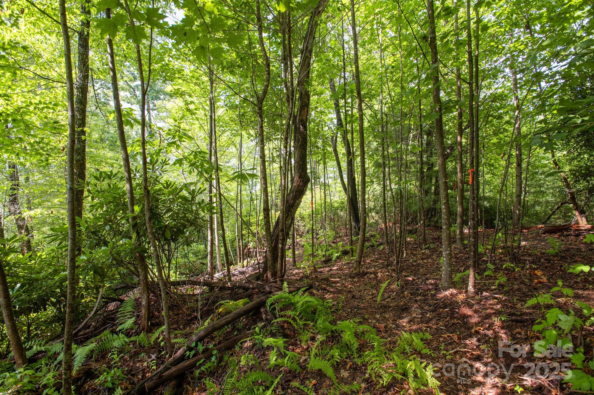 Lot # 2 Masterpiece View Drive 2 Property Photo 15