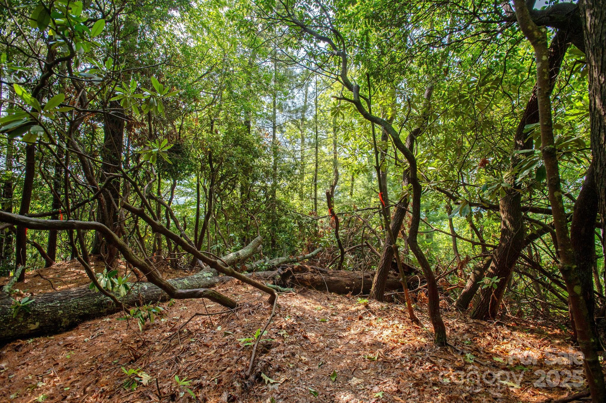 Lot # 2 Masterpiece View Drive 2 Property Photo 16