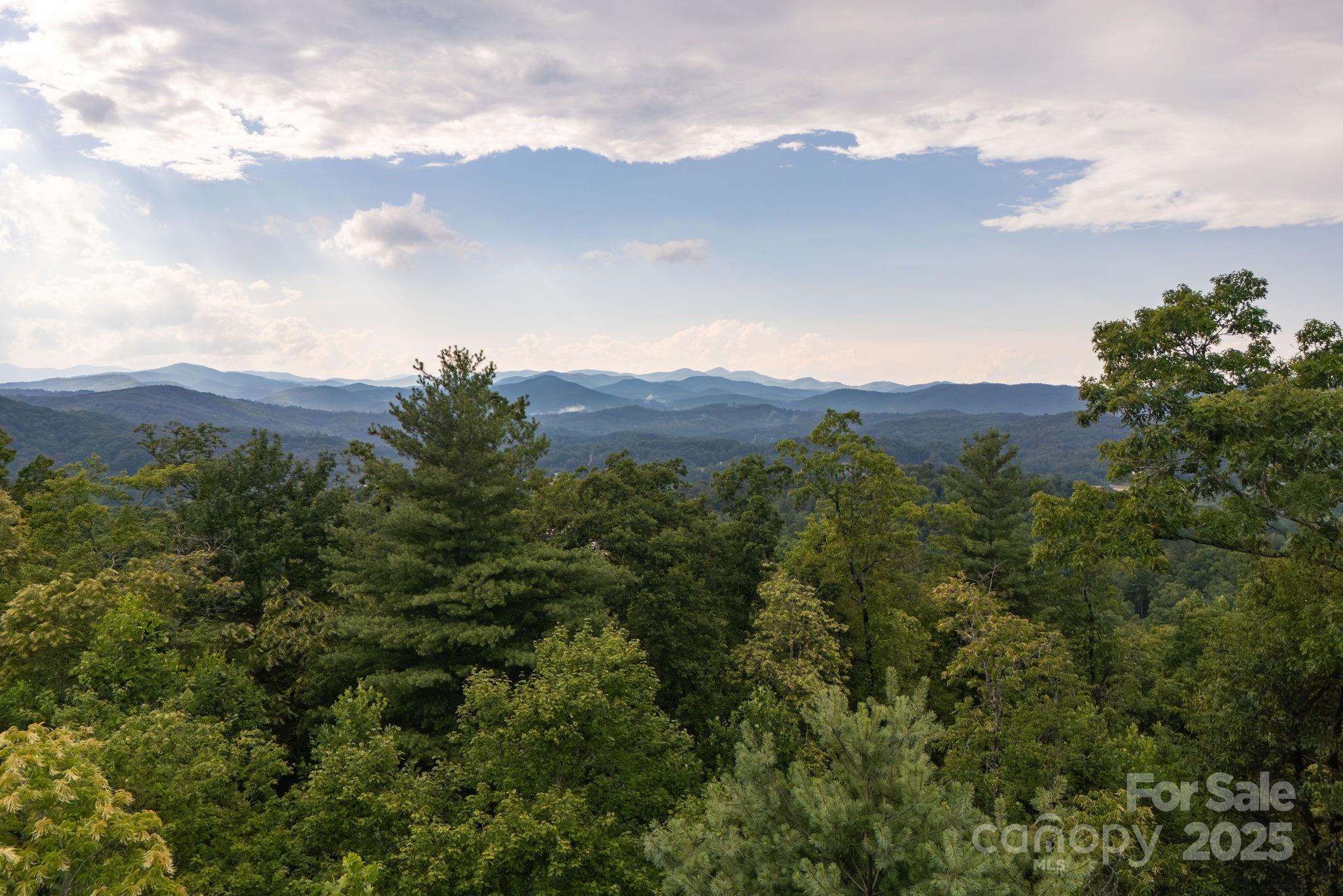 Lot # 2 Masterpiece View Drive 2 Property Photo 19