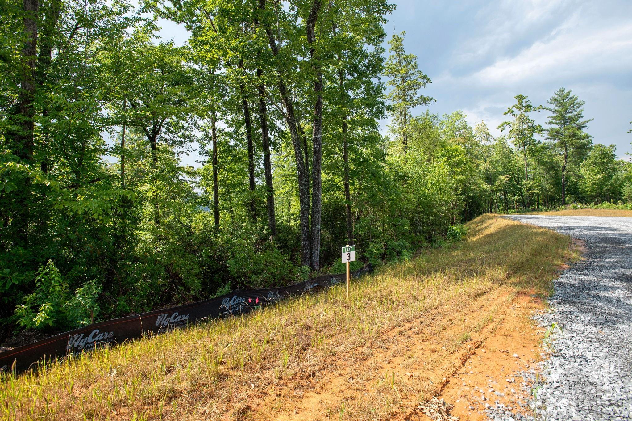 Lot # 3 Masterpiece View Drive 3 Property Photo 3