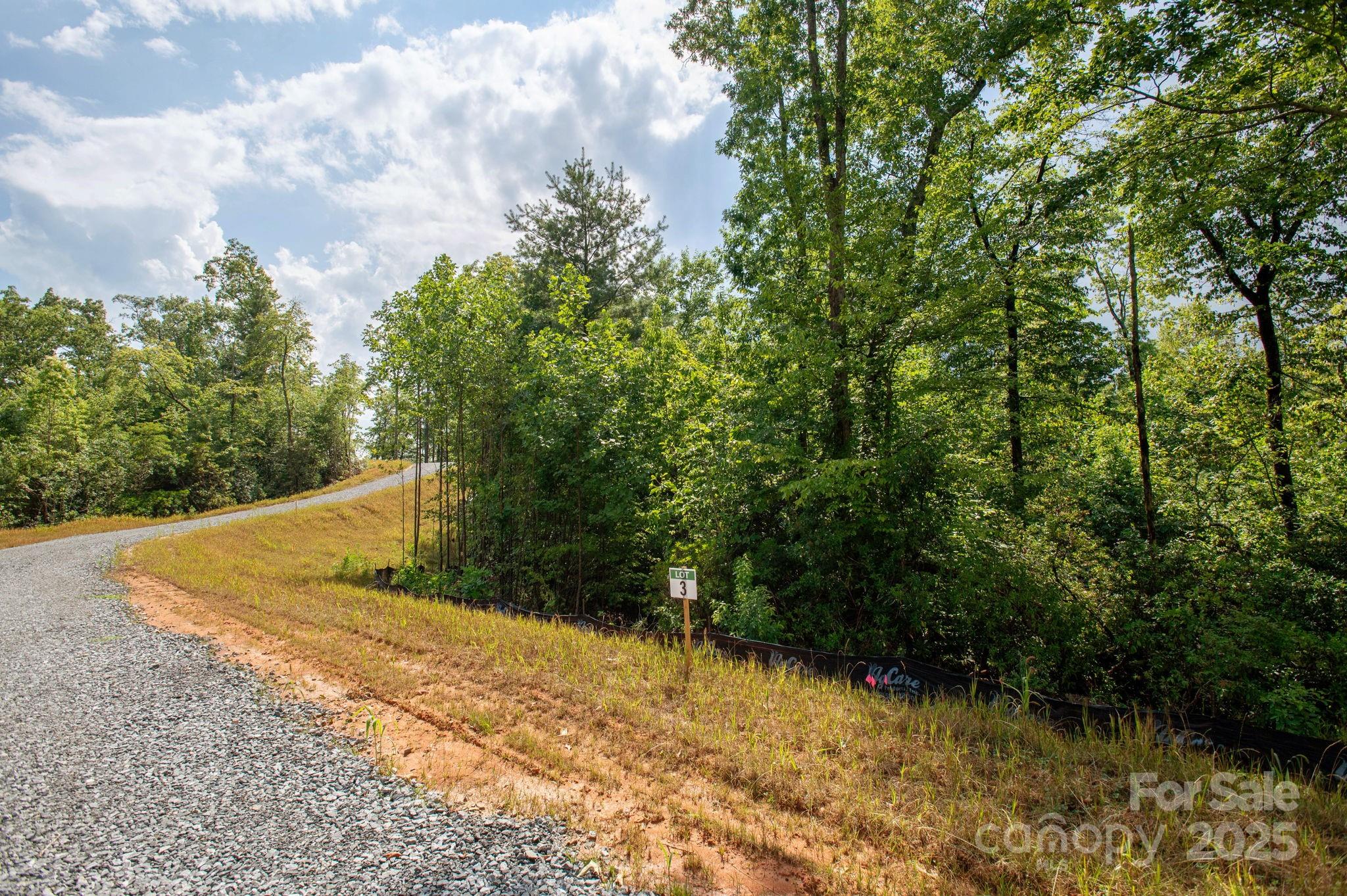 Lot # 3 Masterpiece View Drive 3 Property Photo 6