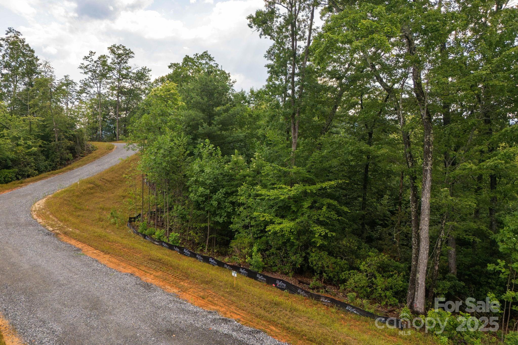 Lot # 3 Masterpiece View Drive 3 Property Photo 7