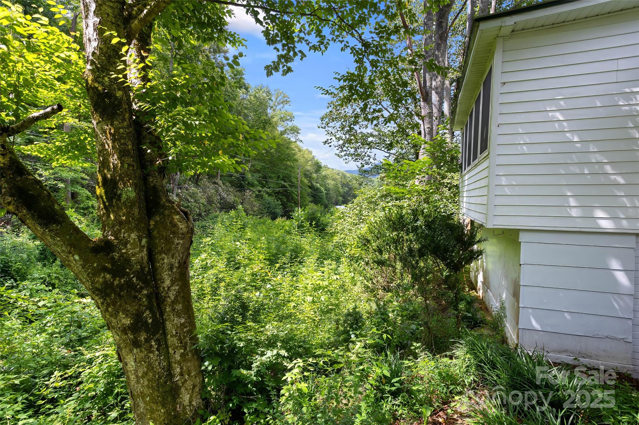 524 Clear Creek Road Property Photo 44