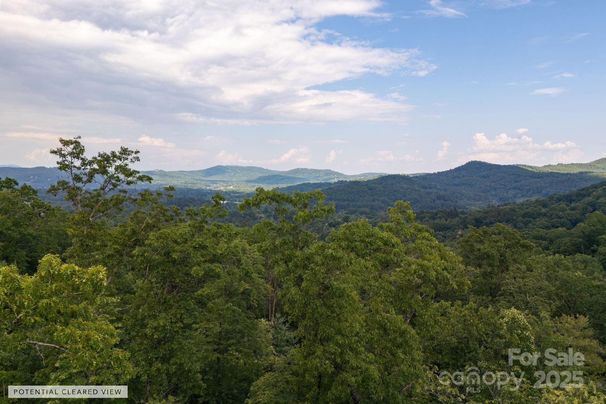 Lot # 5 Masterpiece View Drive 5 Property Photo 1