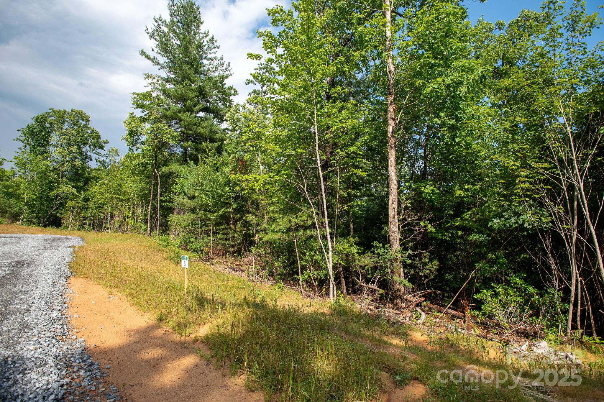 Lot # 5 Masterpiece View Drive 5 Property Photo 3
