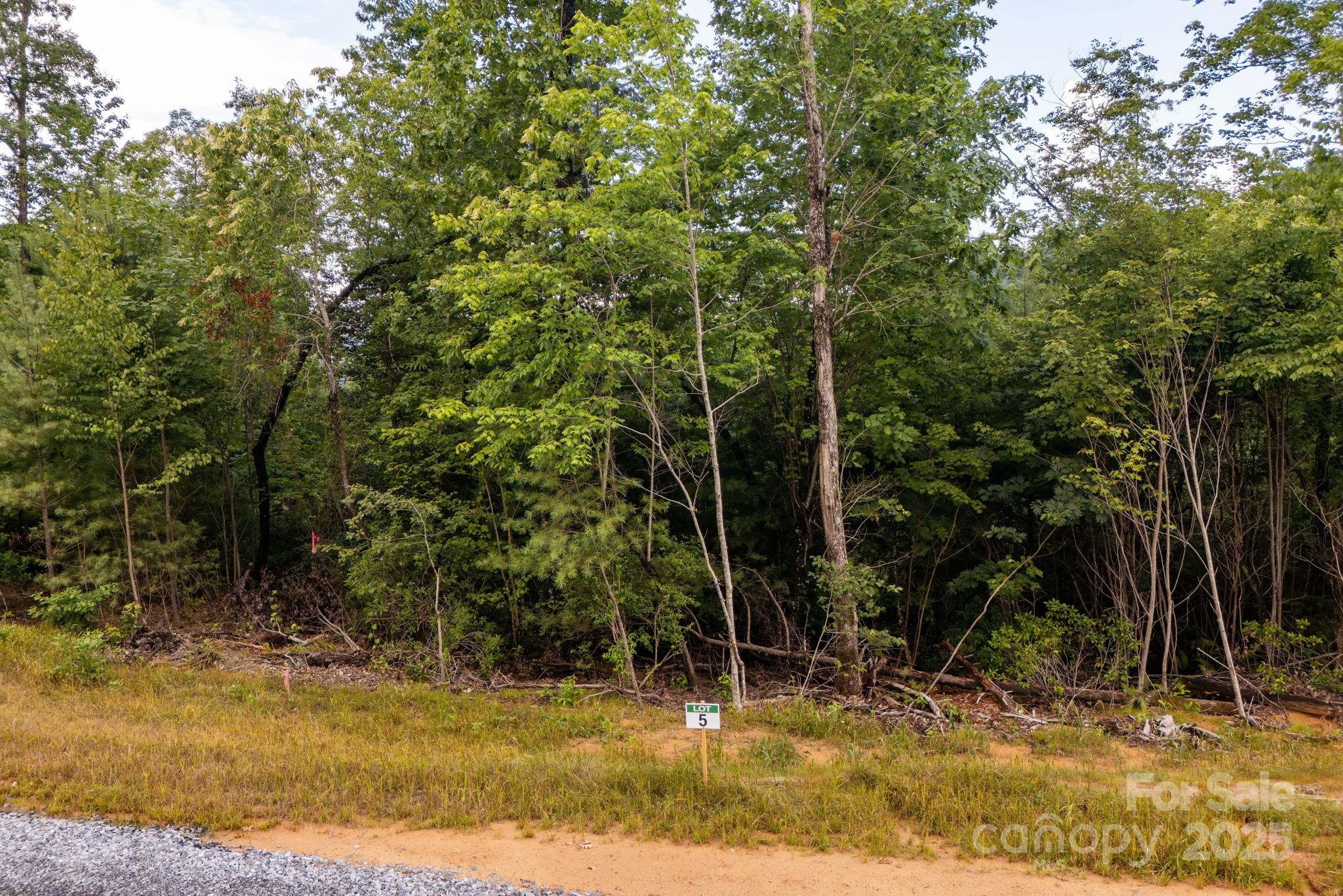 Lot # 5 Masterpiece View Drive 5 Property Photo 4