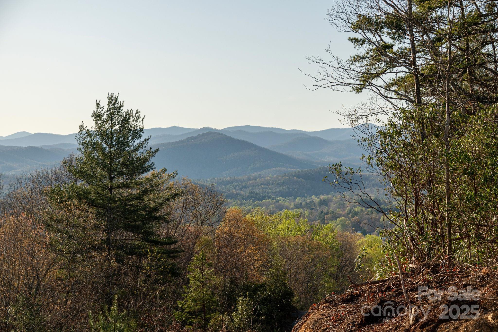 Lot # 5 Masterpiece View Drive 5 Property Photo 23