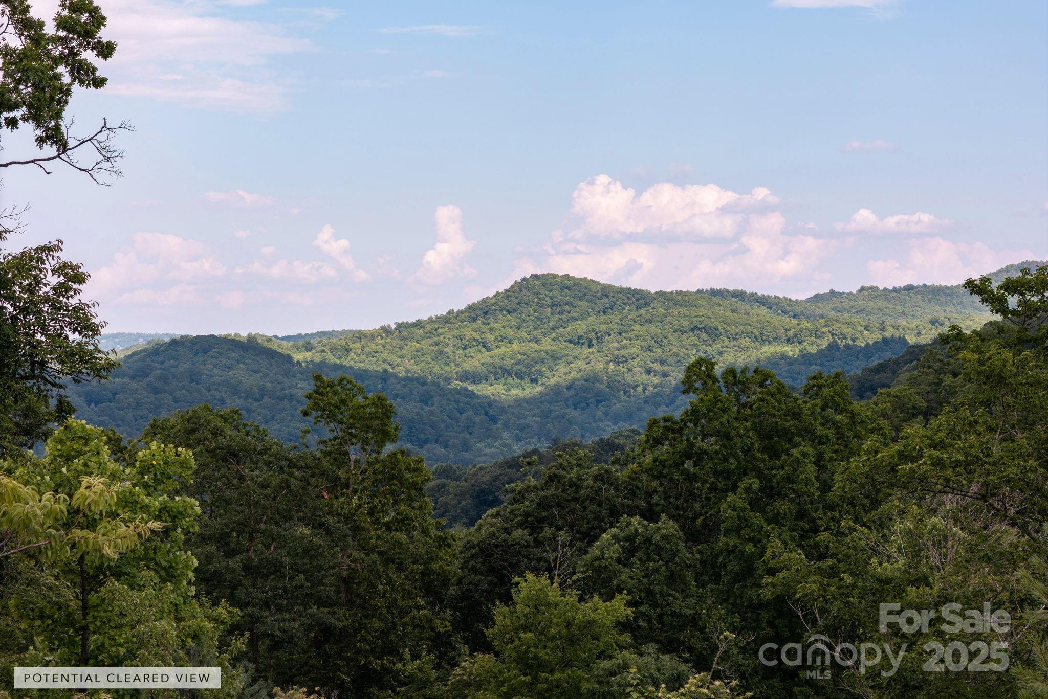 Lot # 6 Masterpiece View Drive 6 Property Photo 3