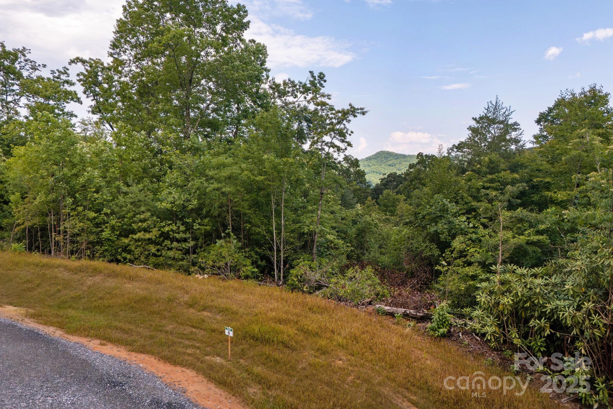 Lot # 6 Masterpiece View Drive 6 Property Photo 6