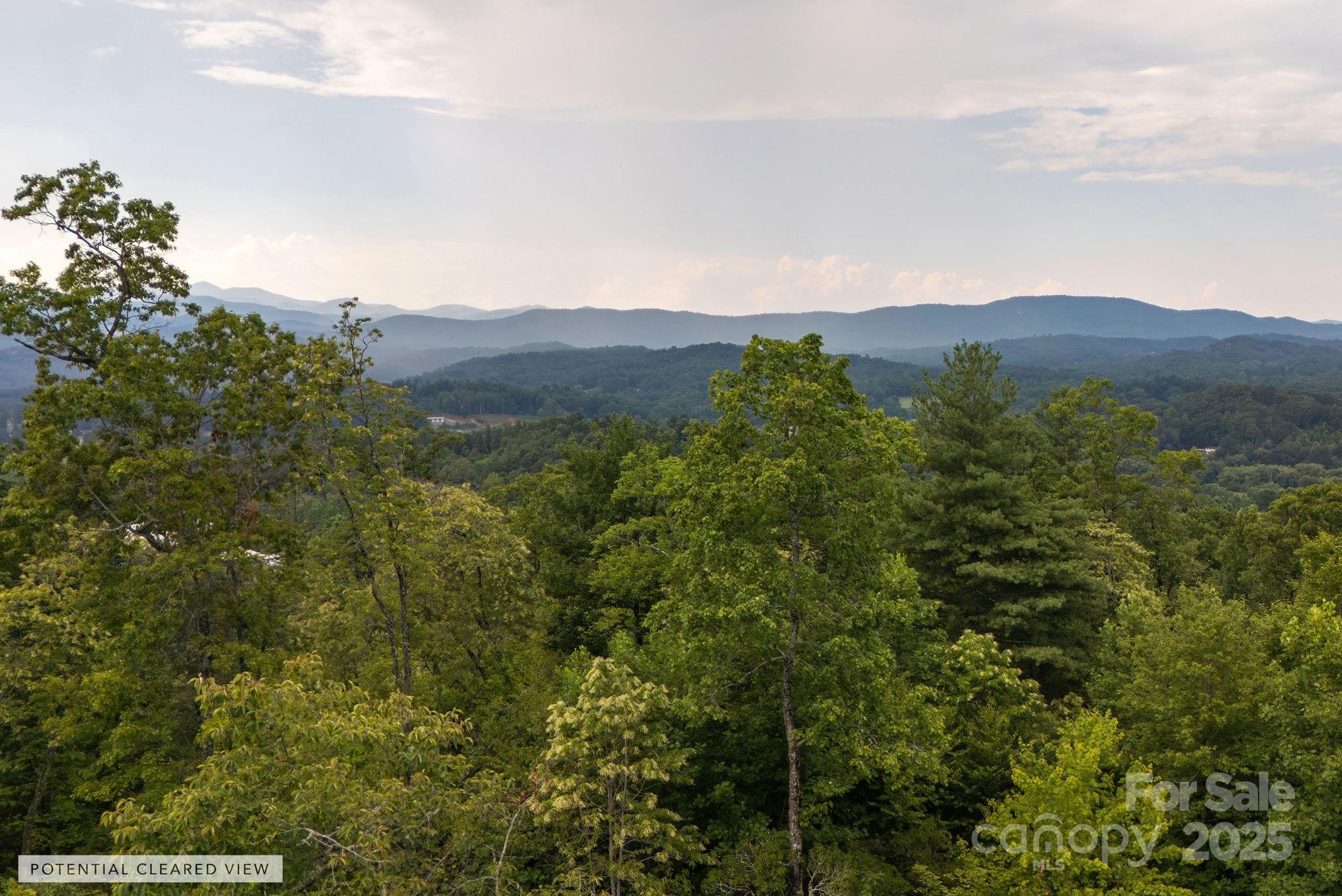 Lot # 7 Masterpiece View Drive Property Photo 1