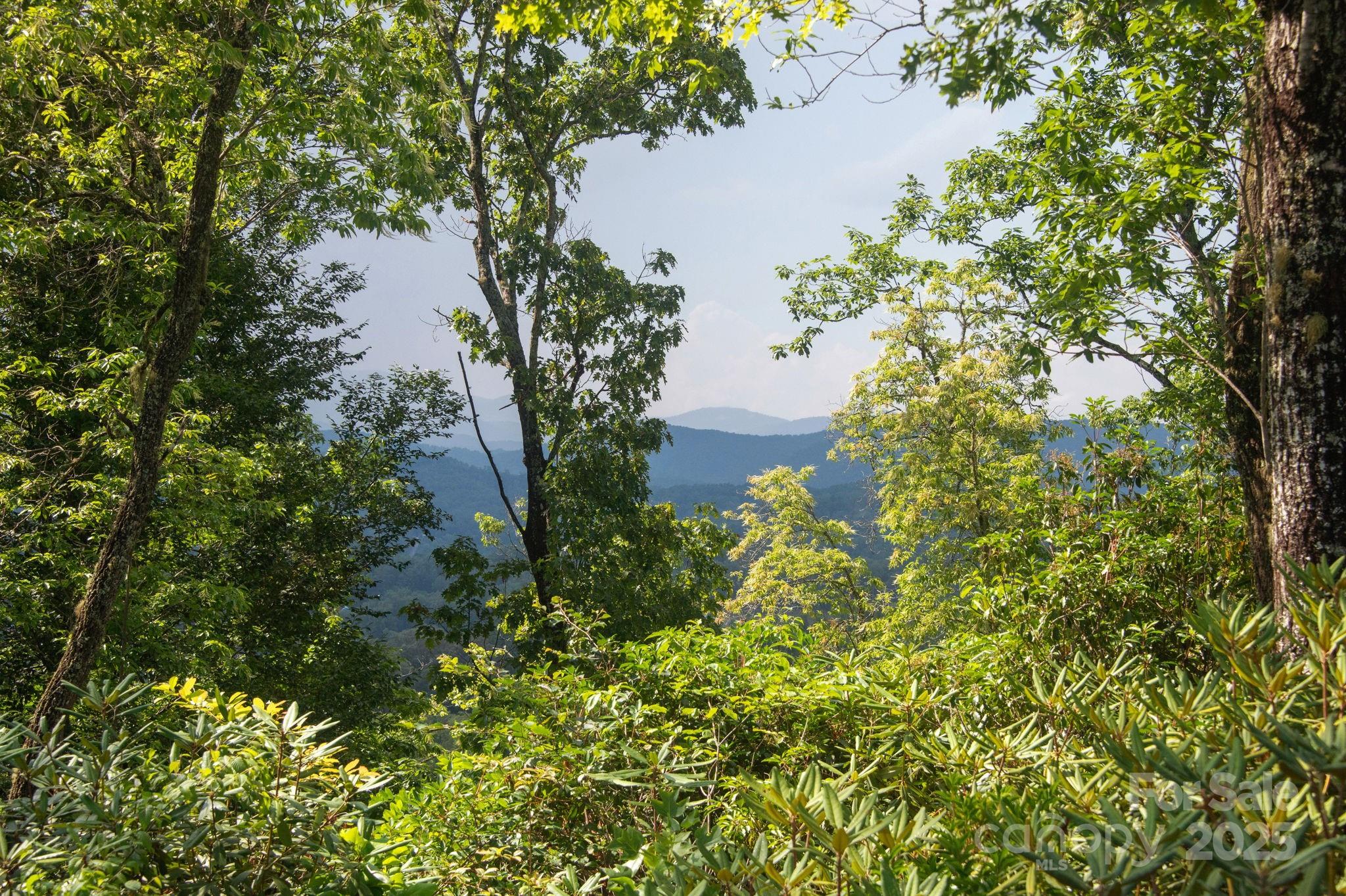 Lot # 7 Masterpiece View Drive Property Photo 3