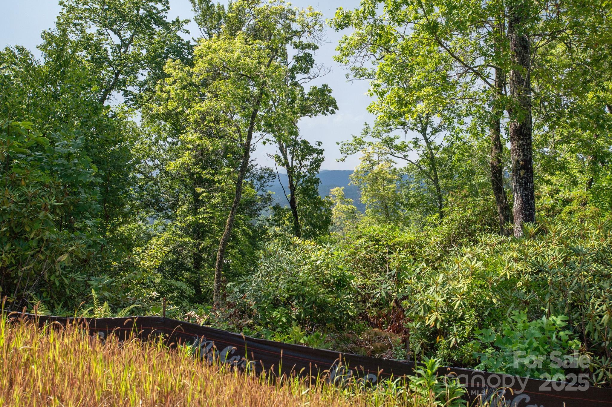 Lot # 7 Masterpiece View Drive Property Photo 4