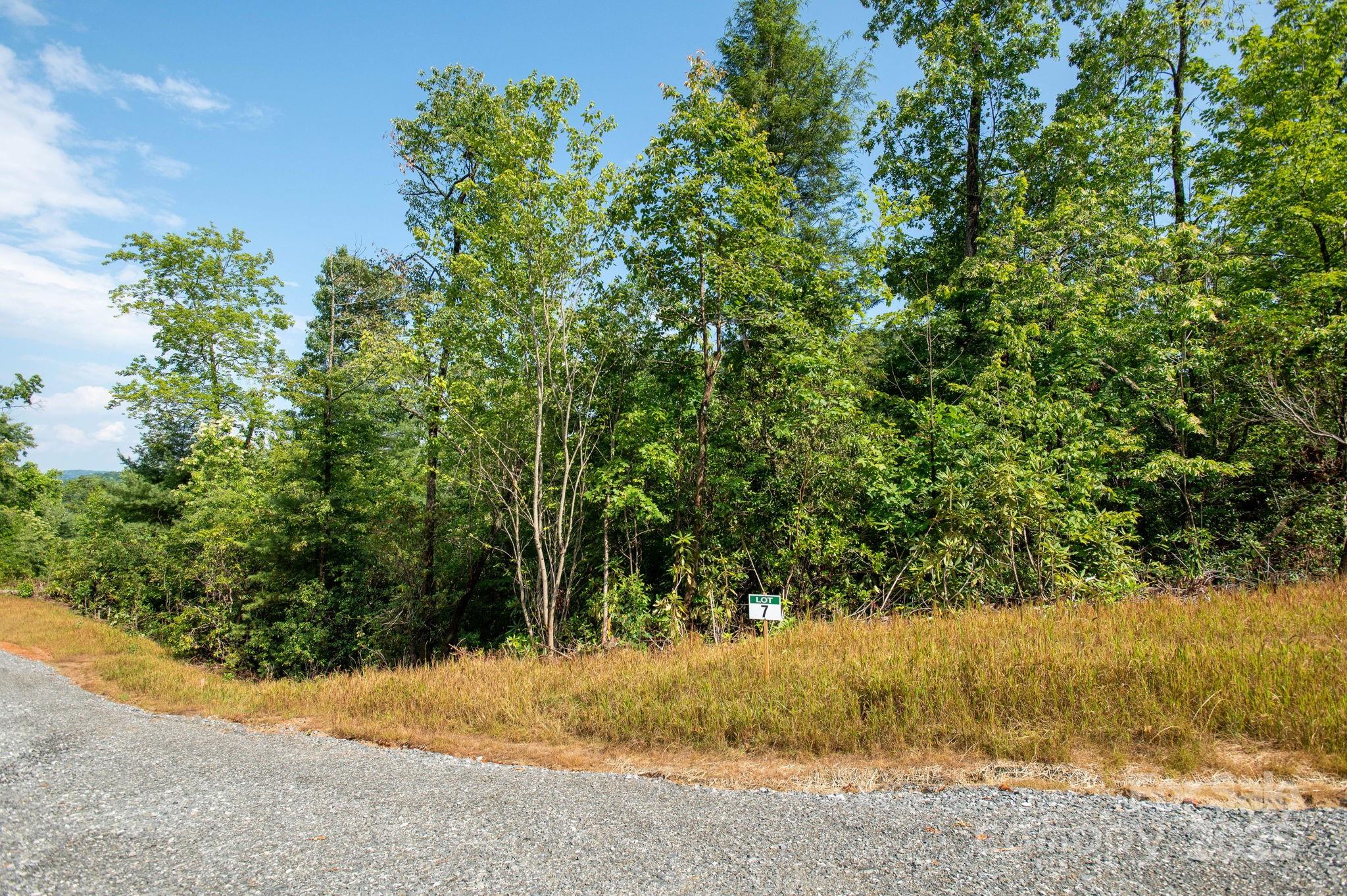 Lot # 7 Masterpiece View Drive Property Photo 5