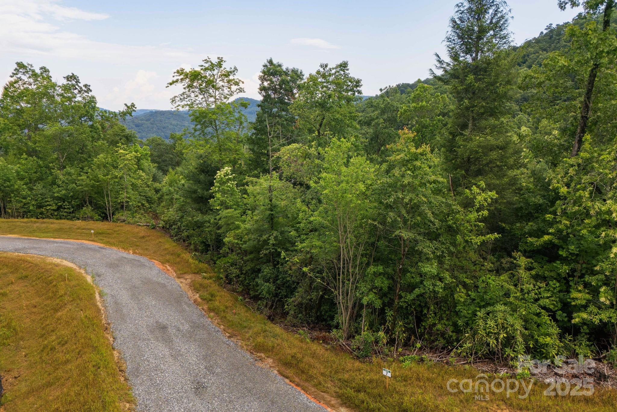 Lot # 7 Masterpiece View Drive Property Photo 6