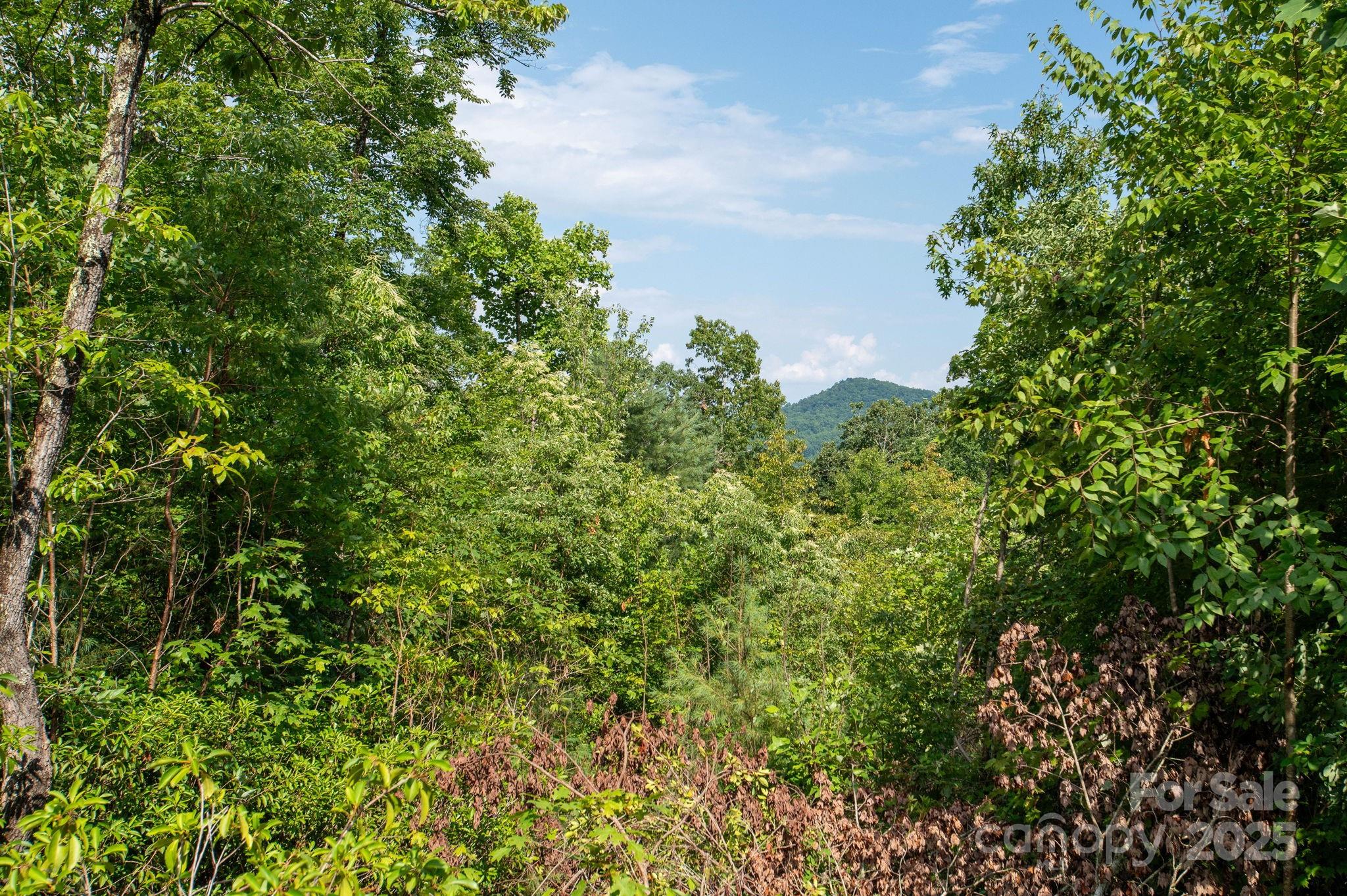 Lot # 7 Masterpiece View Drive Property Photo 8