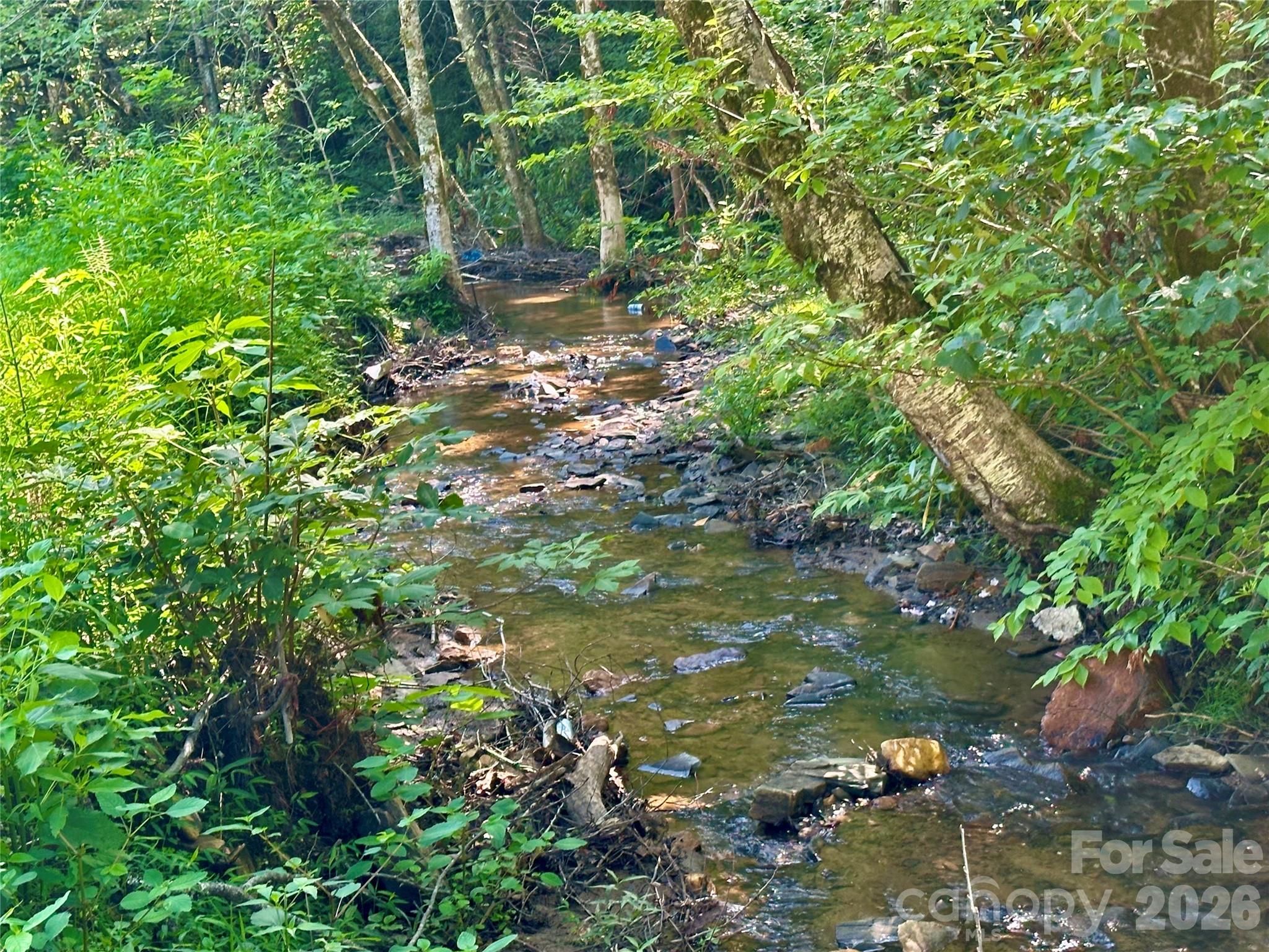 492 Chestnut Mountain Road Property Photo 18