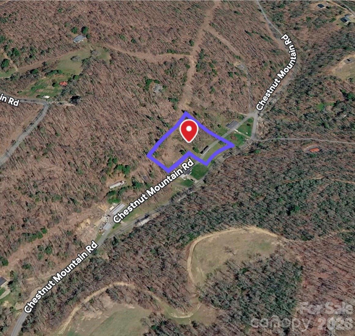 492 Chestnut Mountain Road Property Photo 28