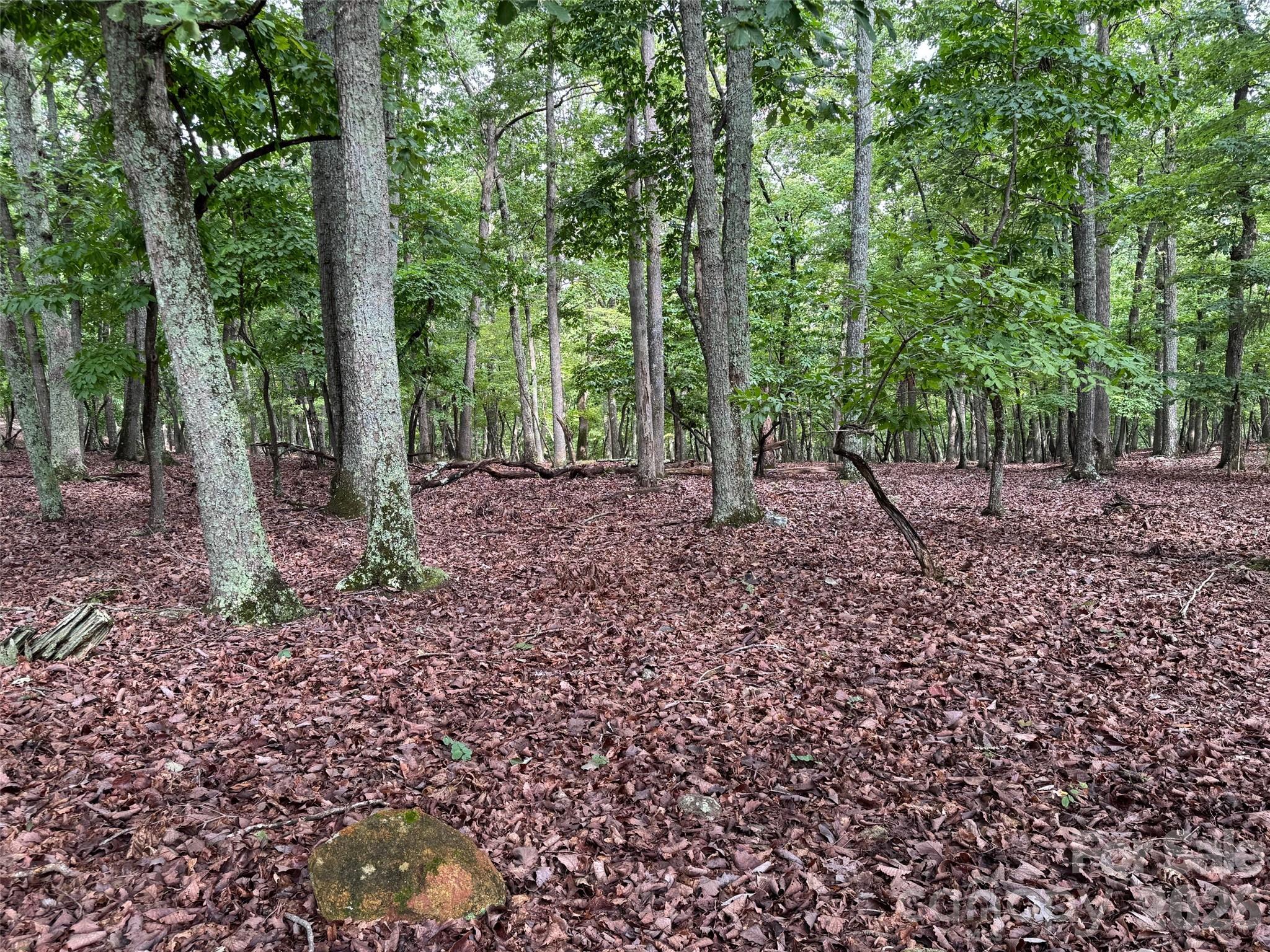 1695 Sierra Trace Road Property Photo 4