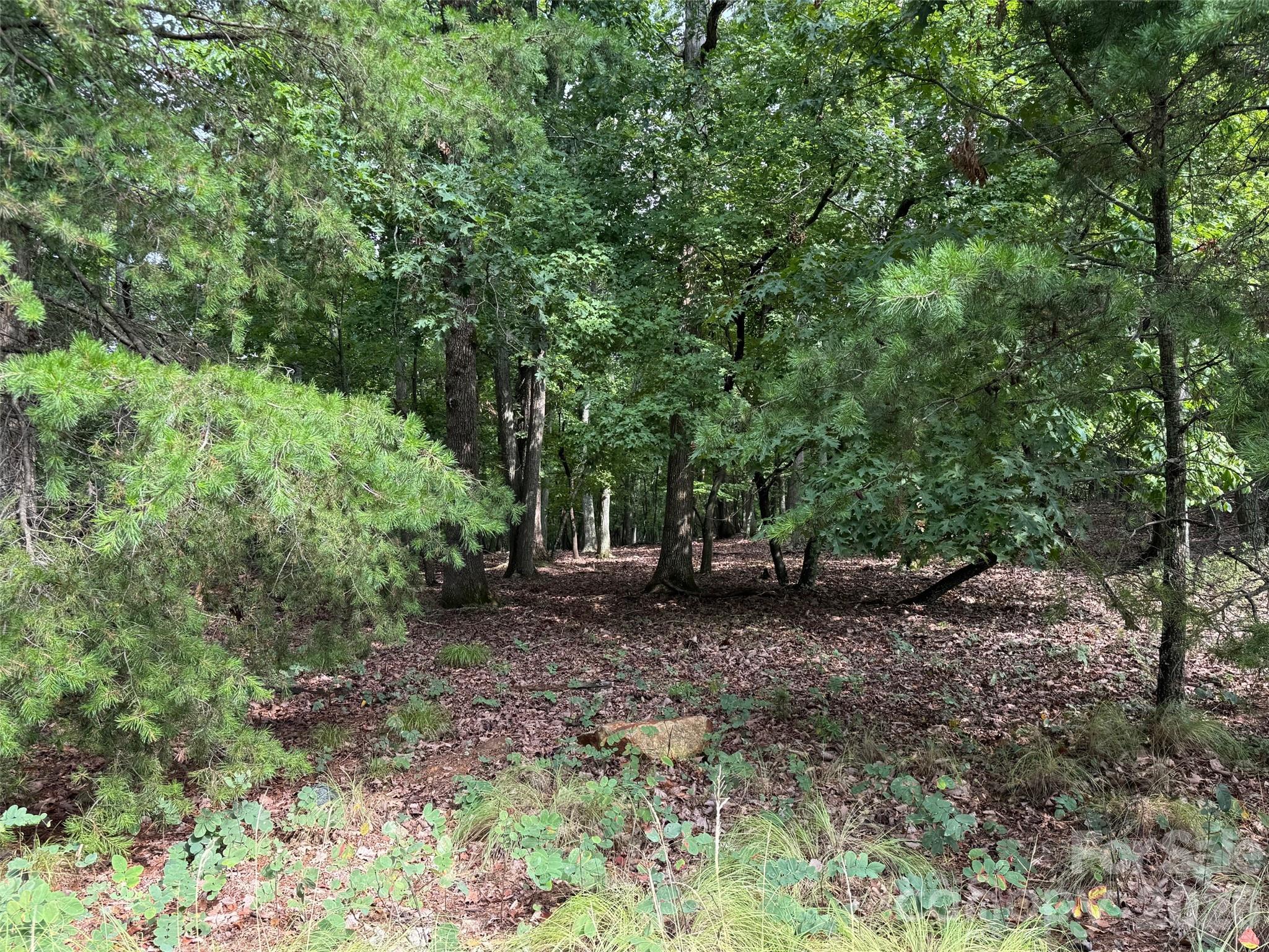 1695 Sierra Trace Road Property Photo 5