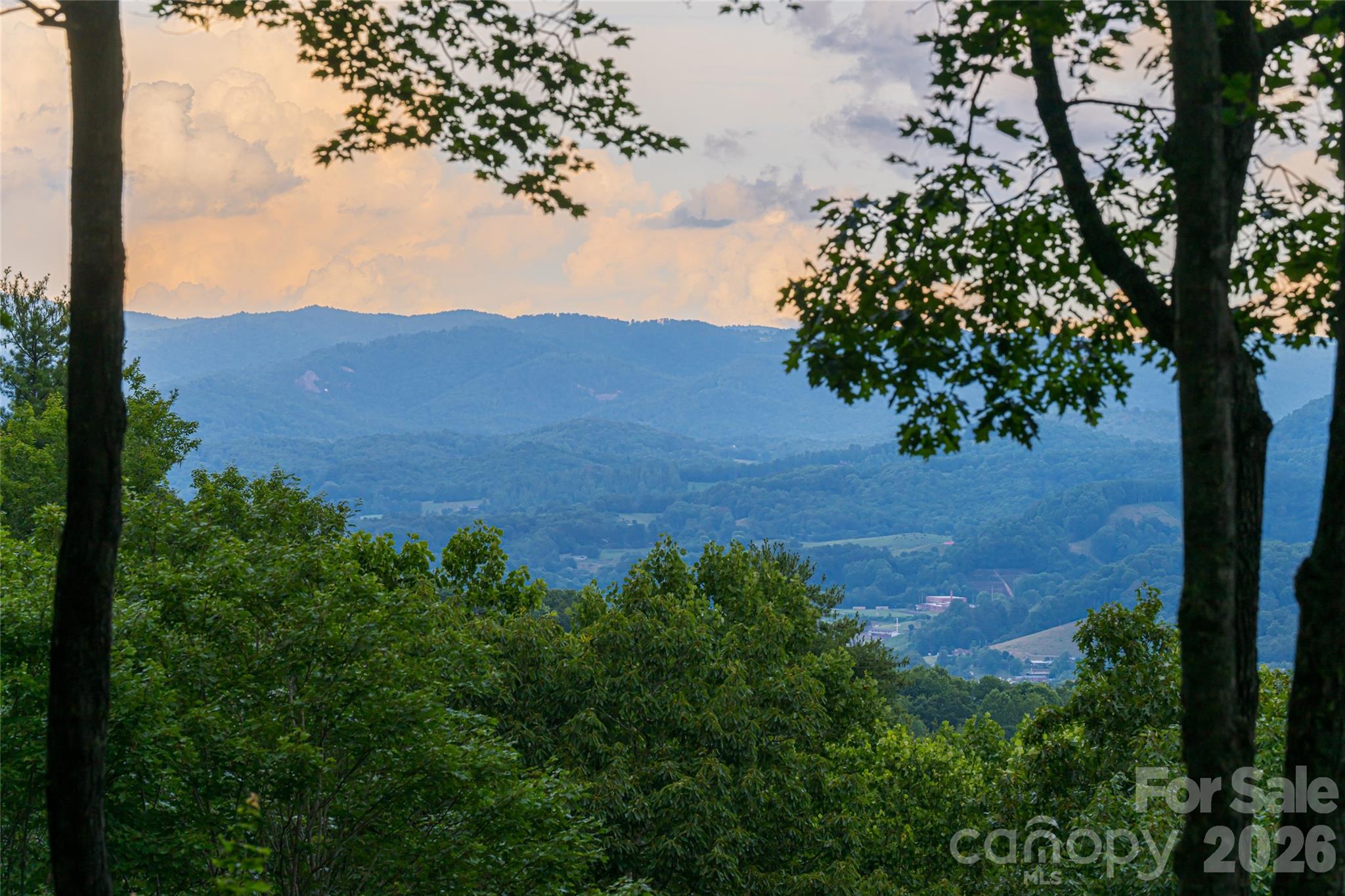163 Tweetys Knoll Property Photo 4