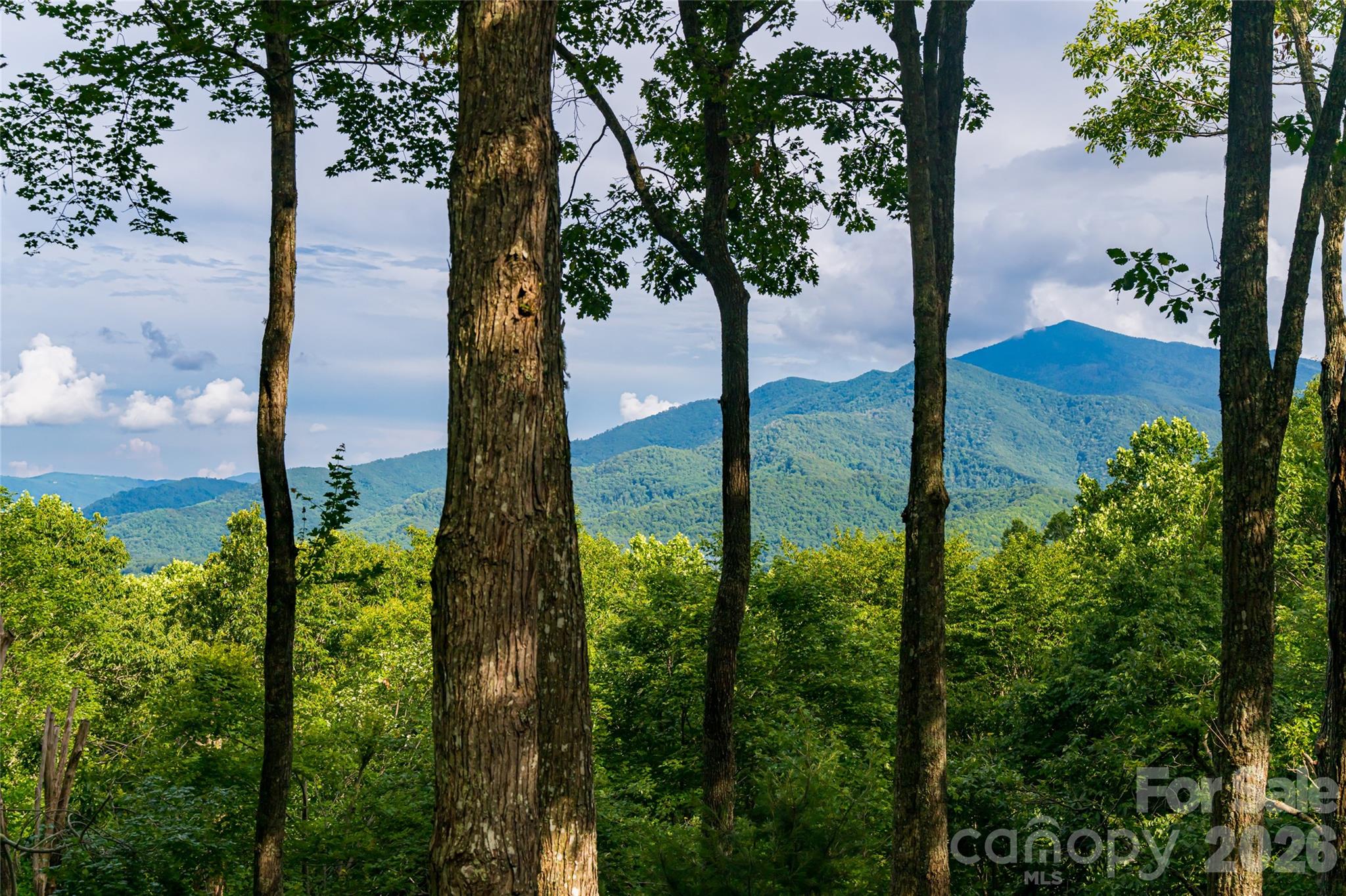 163 Tweetys Knoll Property Photo 13