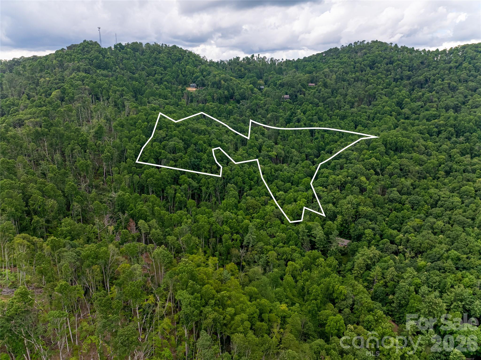 163 Tweetys Knoll Property Photo 40
