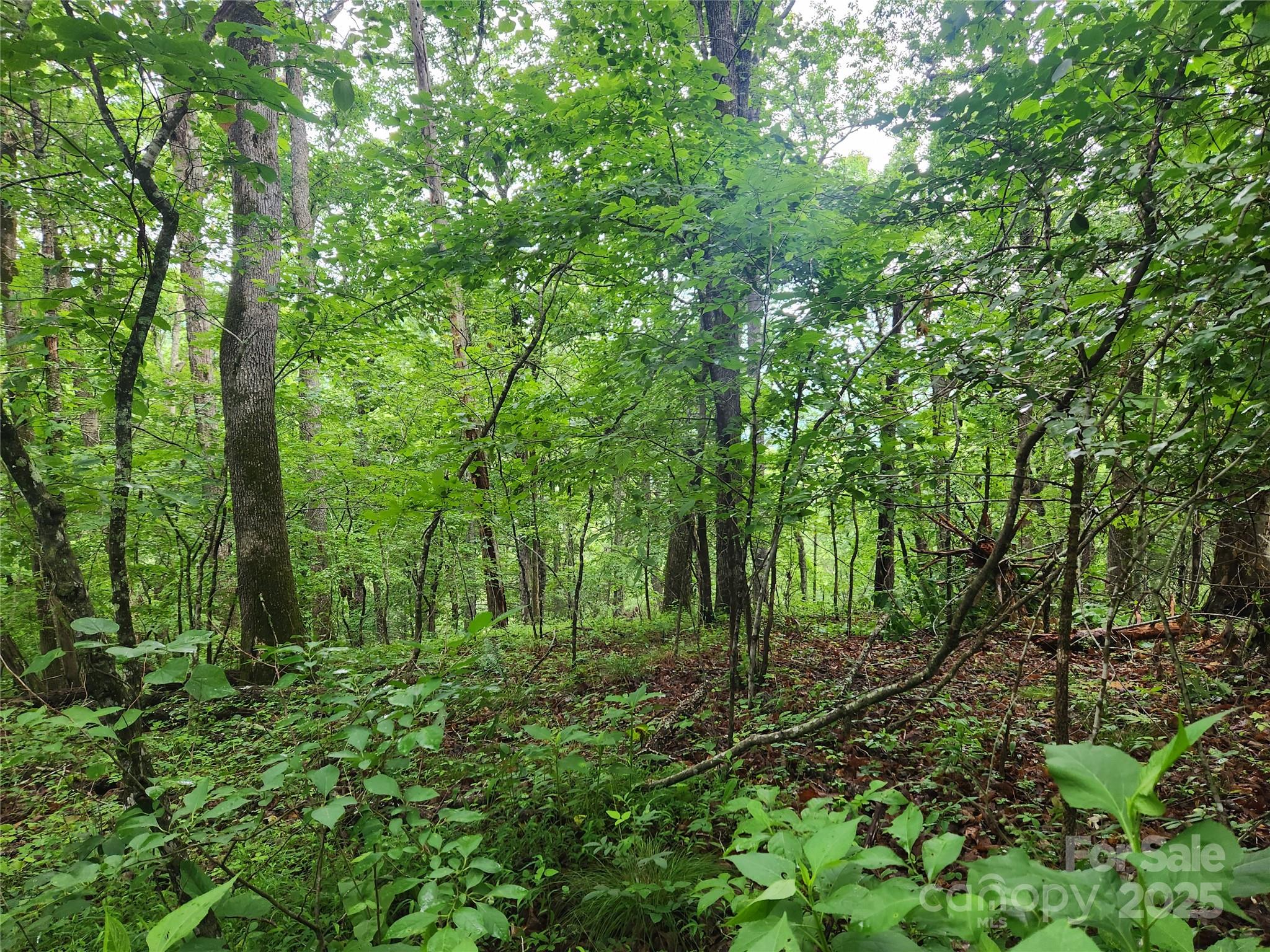 Tbd Henry Worley Lane Property Photo 1