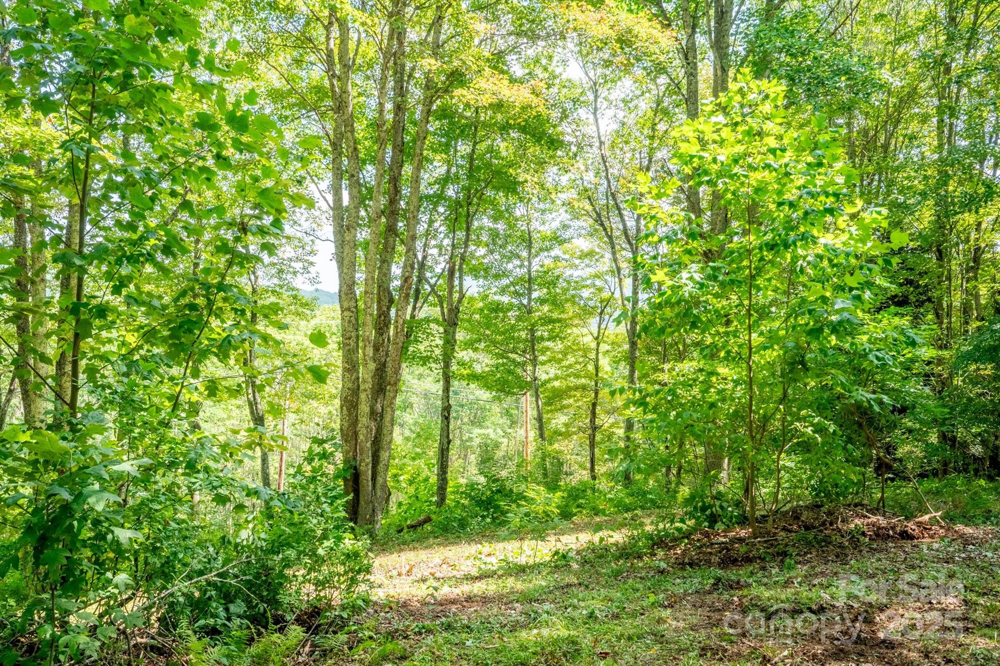 2777 Hickory Nut Gap Road Property Photo 24