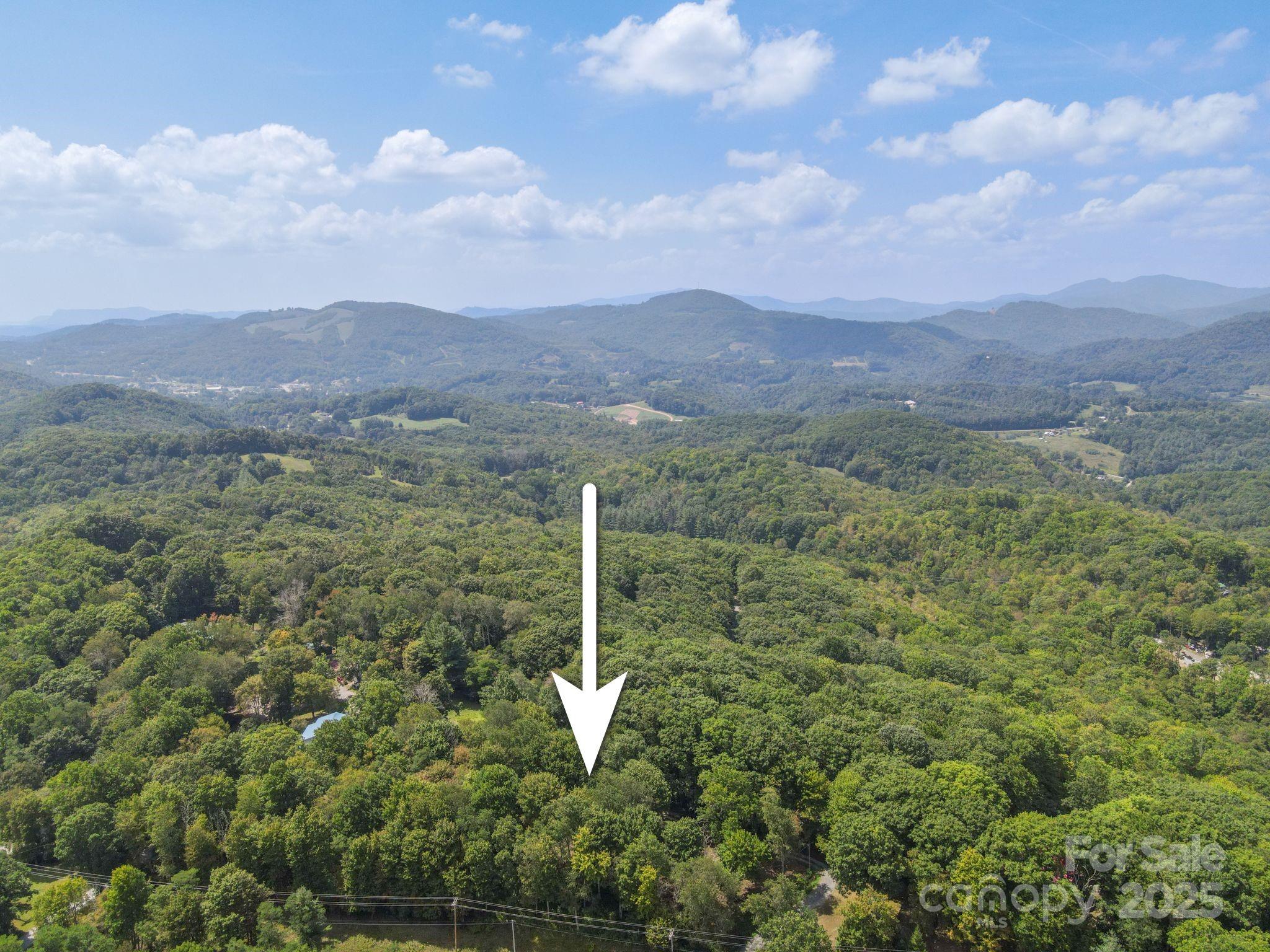 2777 Hickory Nut Gap Road Property Photo 28