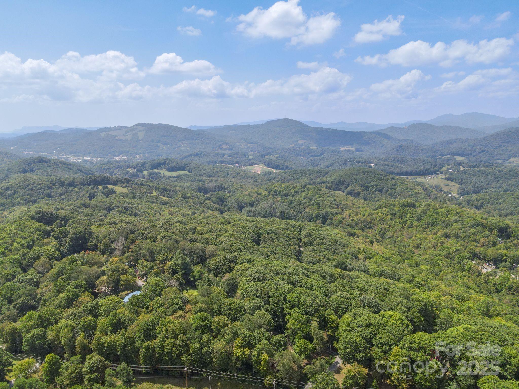 2777 Hickory Nut Gap Road Property Photo 29