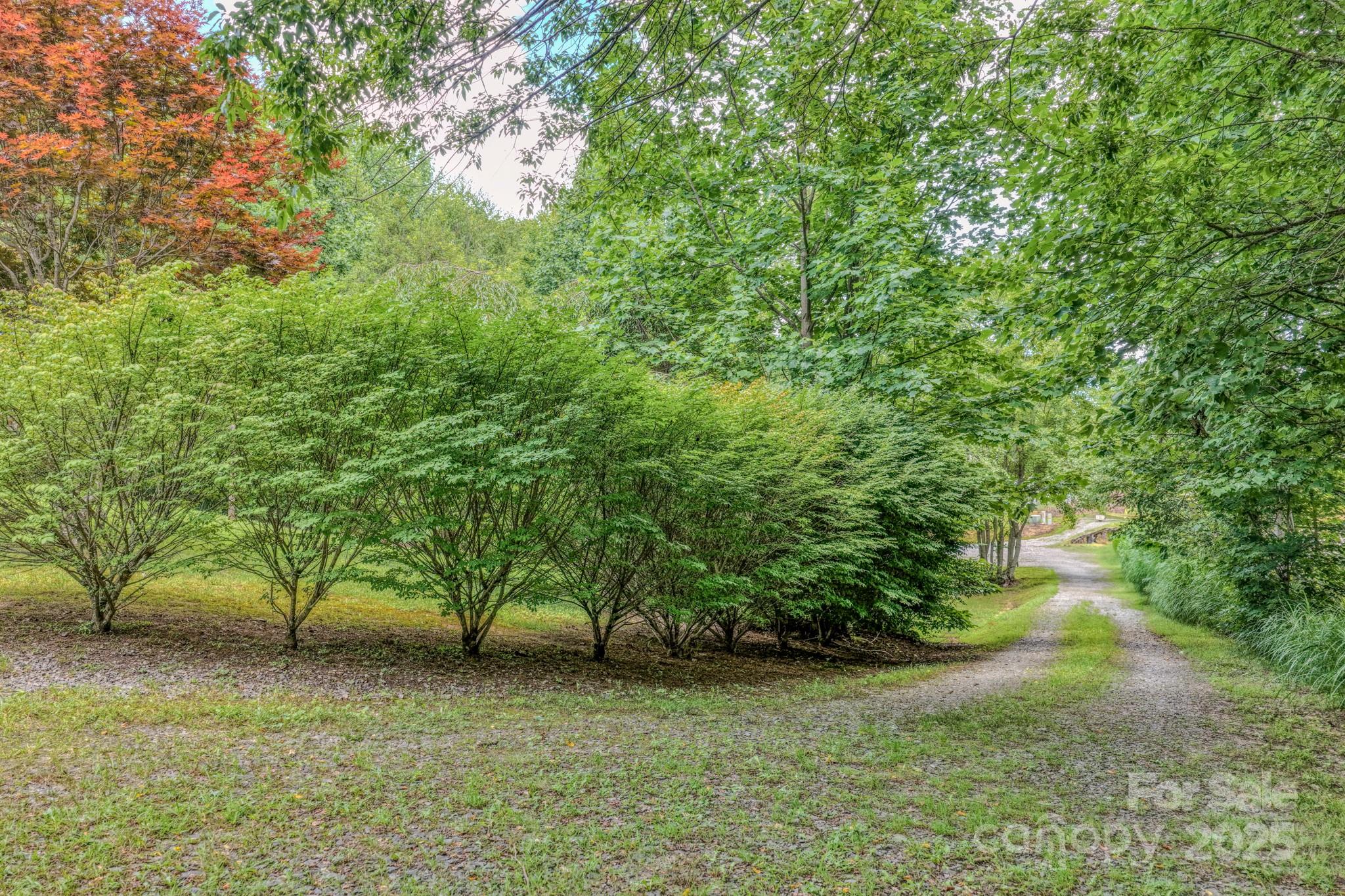 192 Lady Bug Lane Property Photo 31