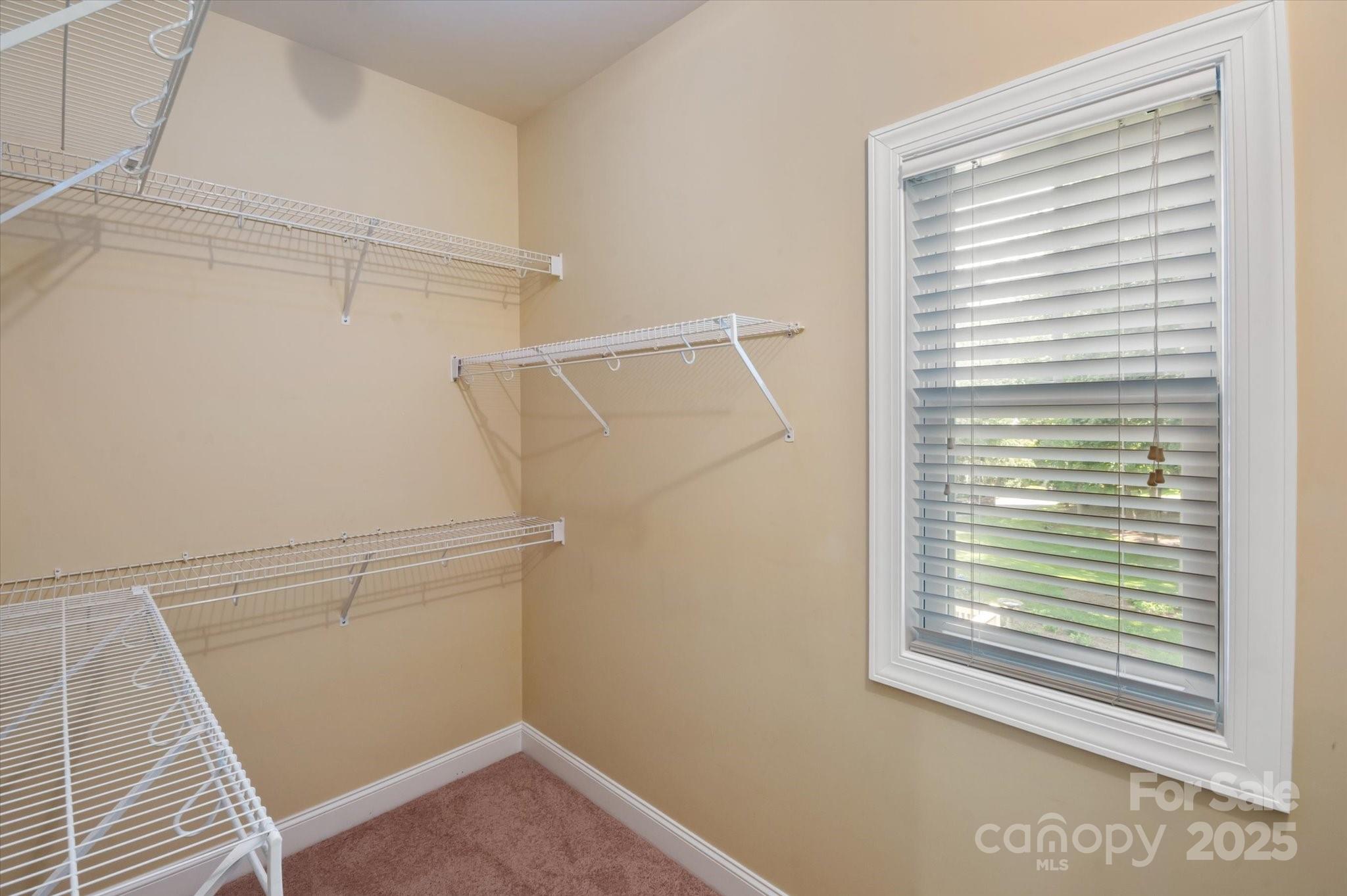 209 Duncan Estate Drive Property Photo 21