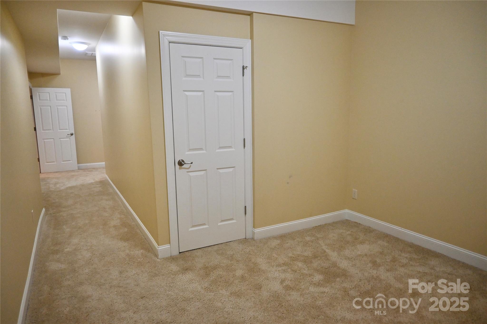 209 Duncan Estate Drive Property Photo 31