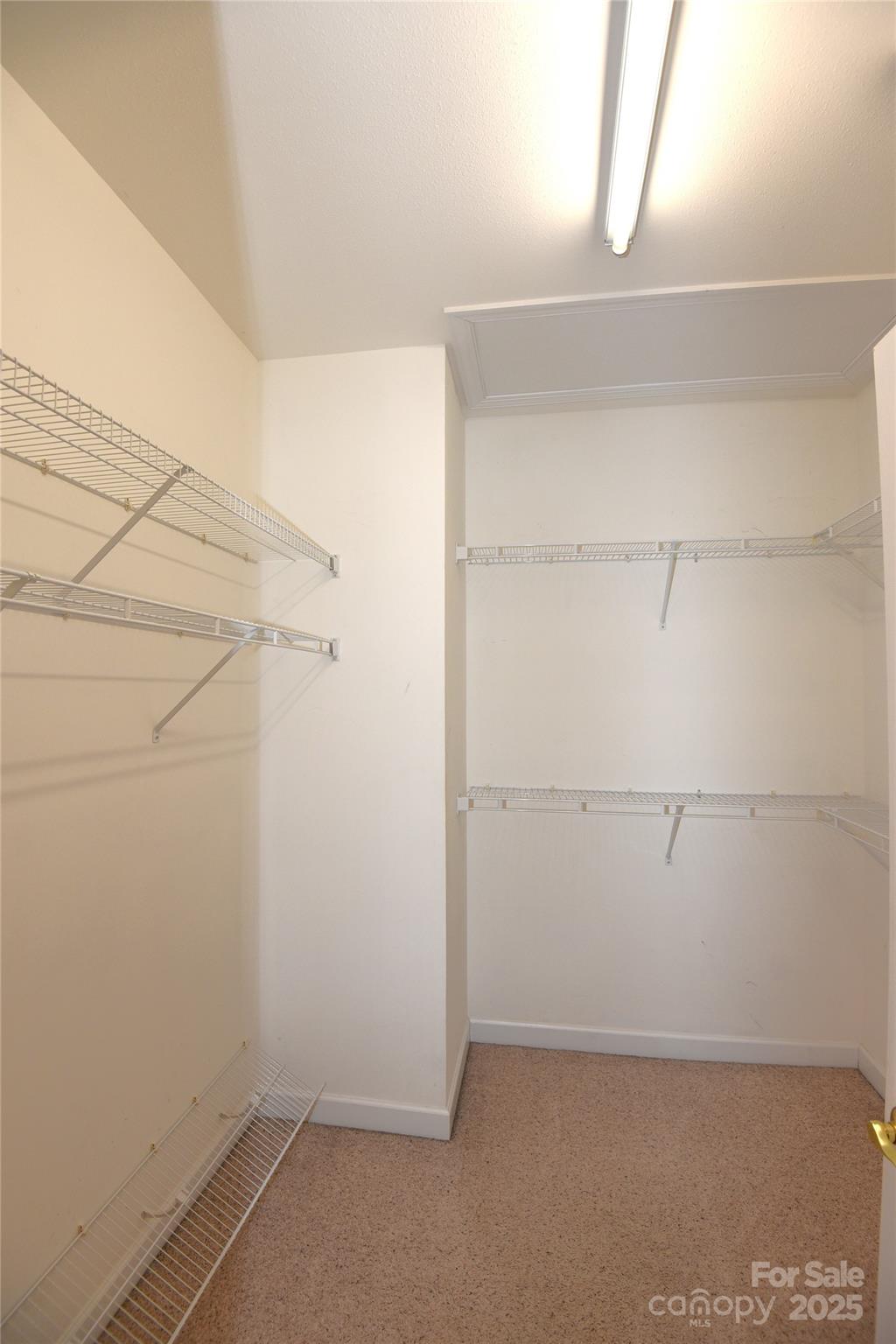 237 River Birch Drive Property Photo 13