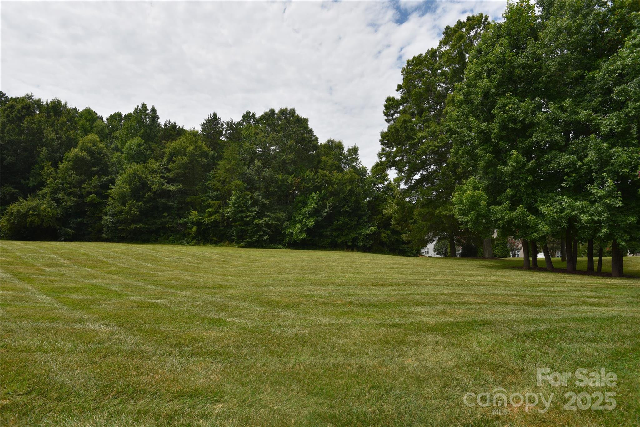 237 River Birch Drive Property Photo 21