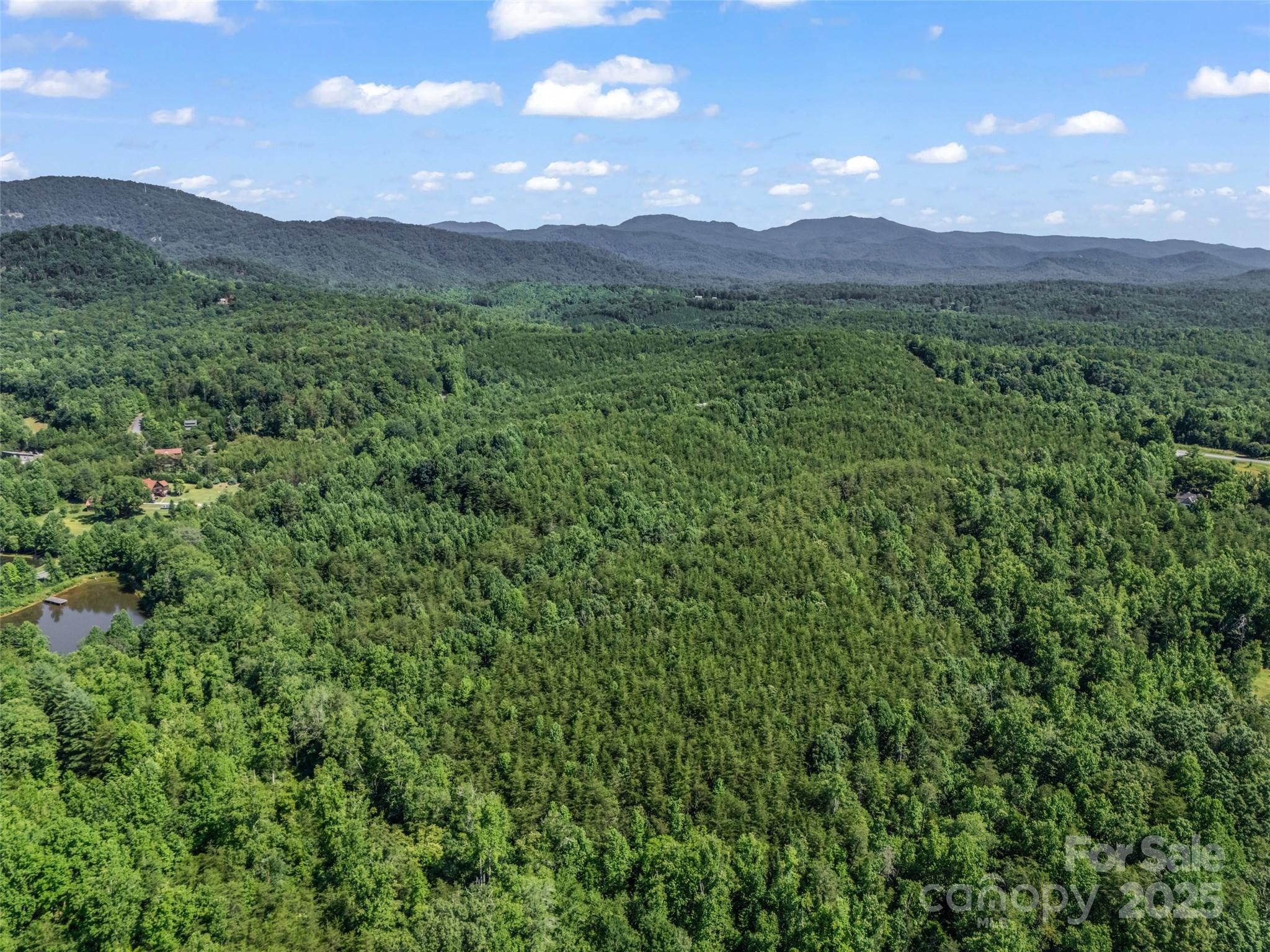 0000 Bills Creek Road Property Photo 8