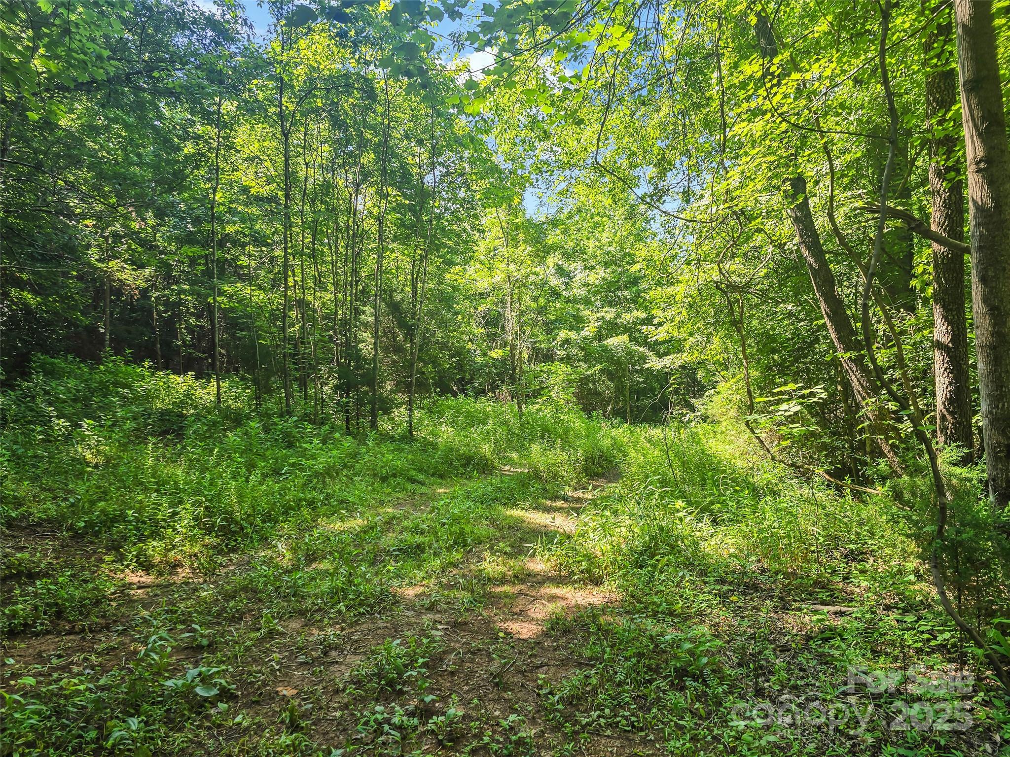 0000 Bills Creek Road Property Photo 10