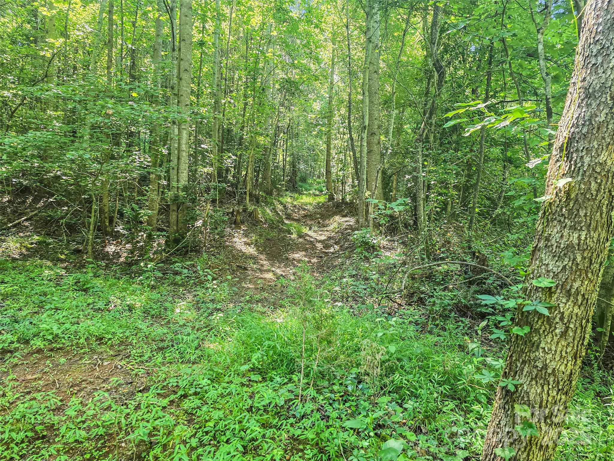 0000 Bills Creek Road Property Photo 11