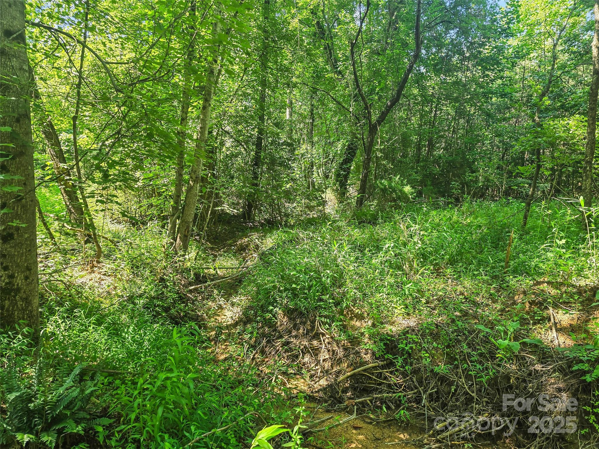 0000 Bills Creek Road Property Photo 13
