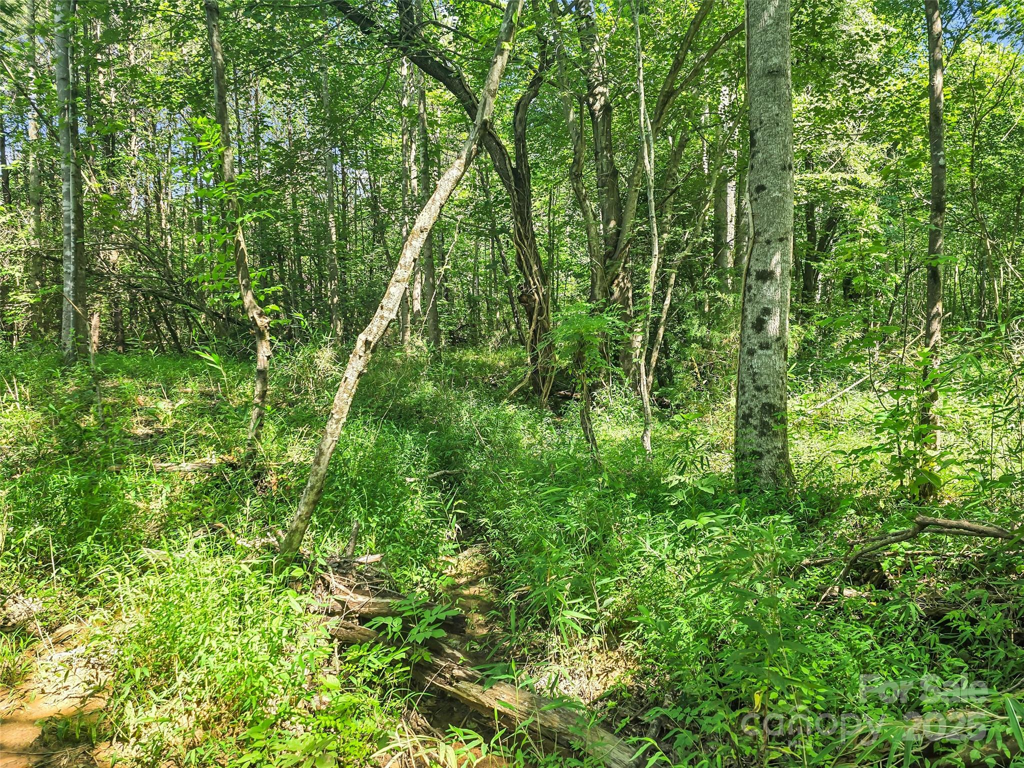 0000 Bills Creek Road Property Photo 14