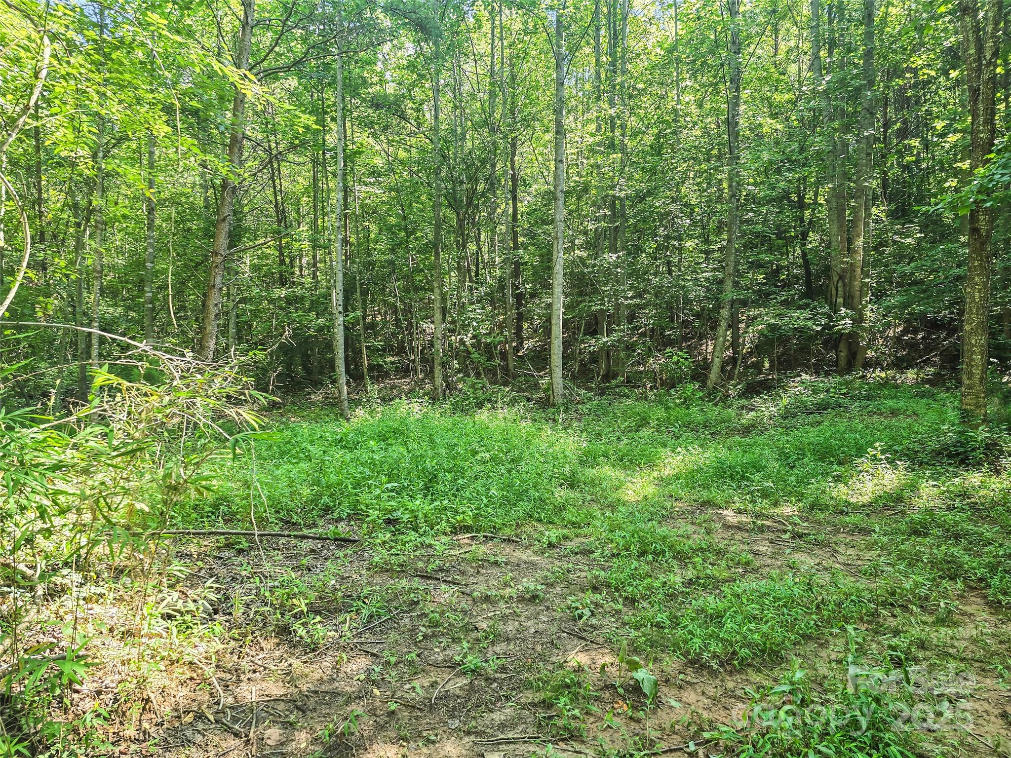 0000 Bills Creek Road Property Photo 15