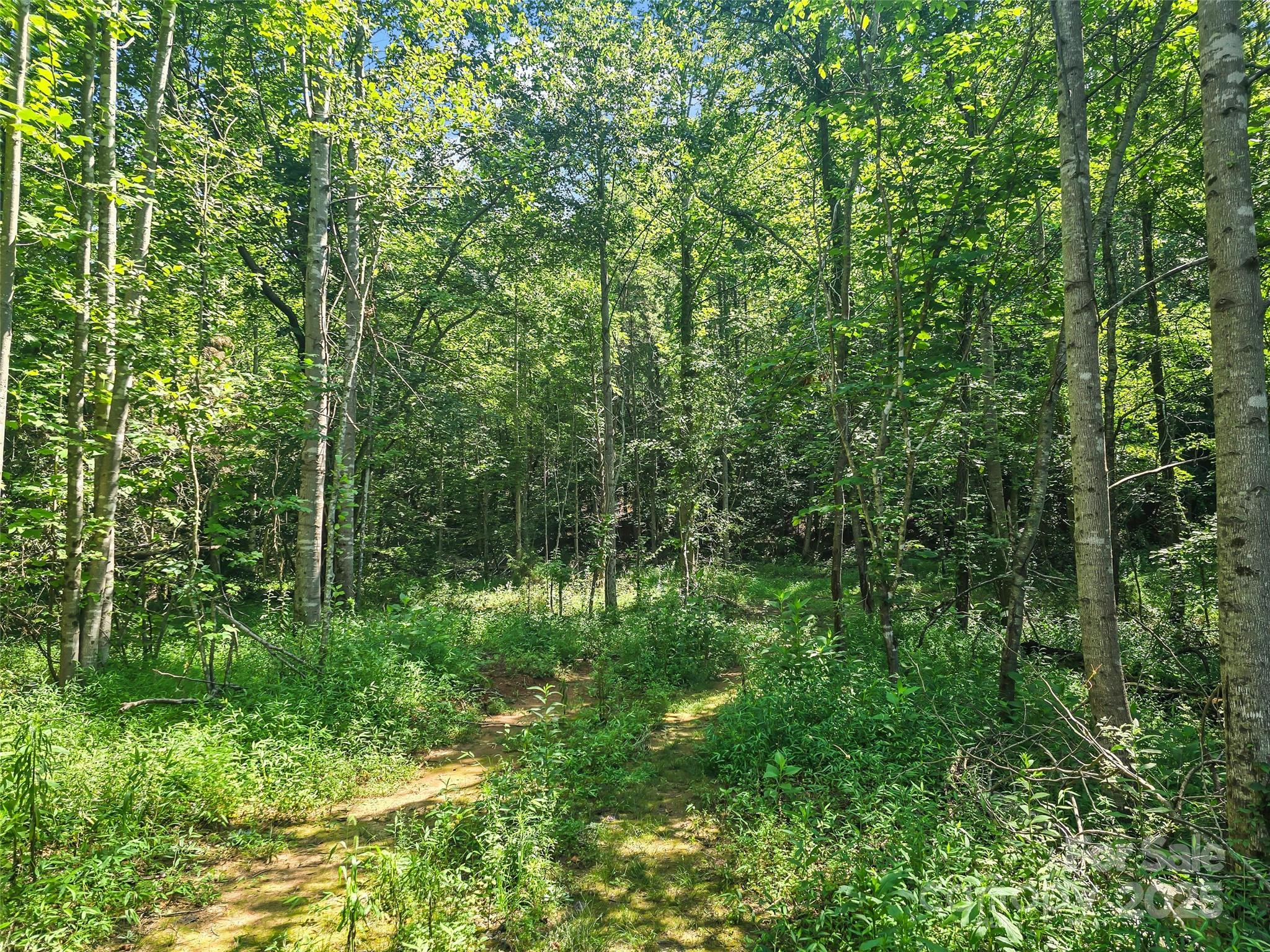 0000 Bills Creek Road Property Photo 16