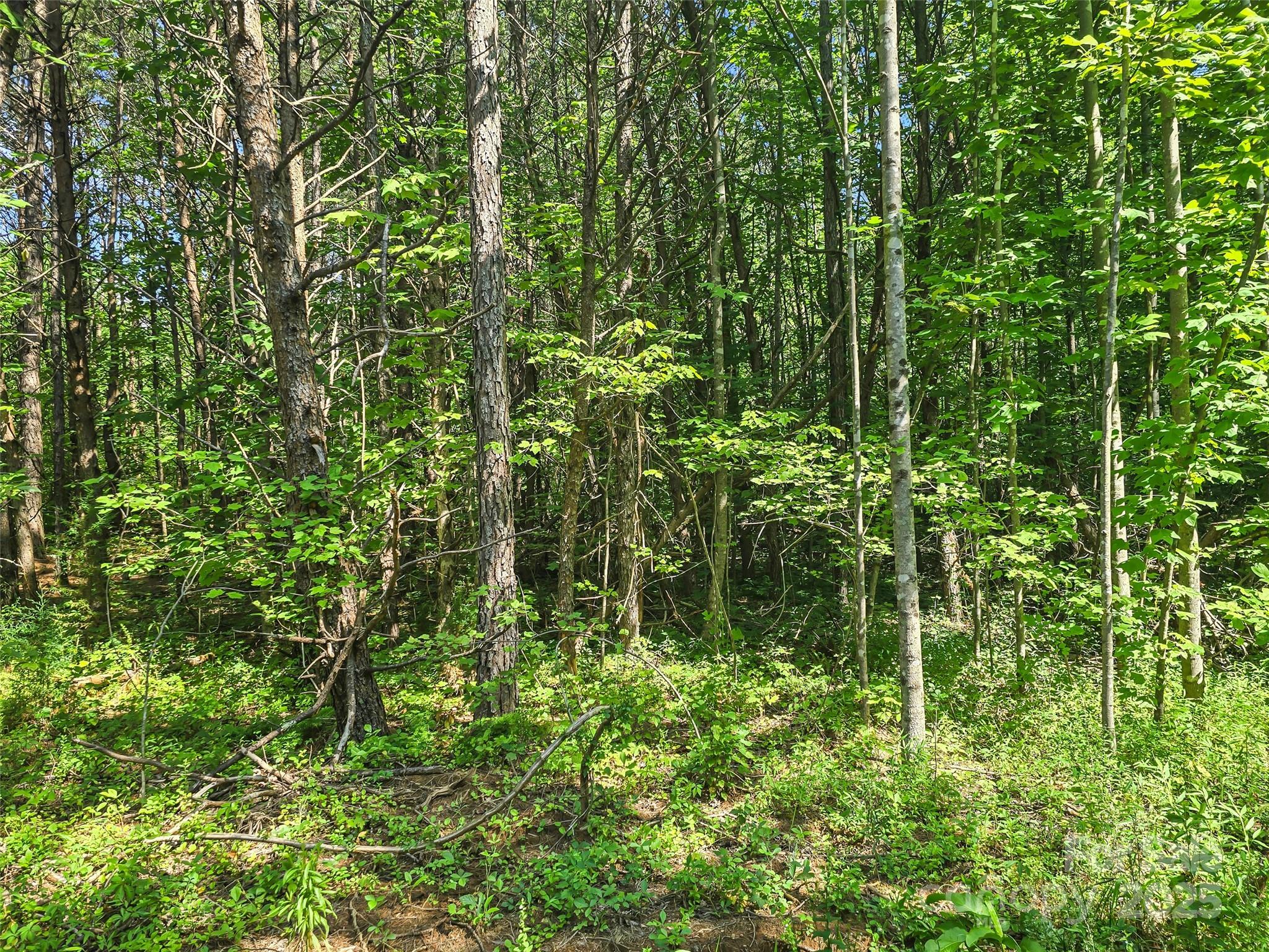 0000 Bills Creek Road Property Photo 17