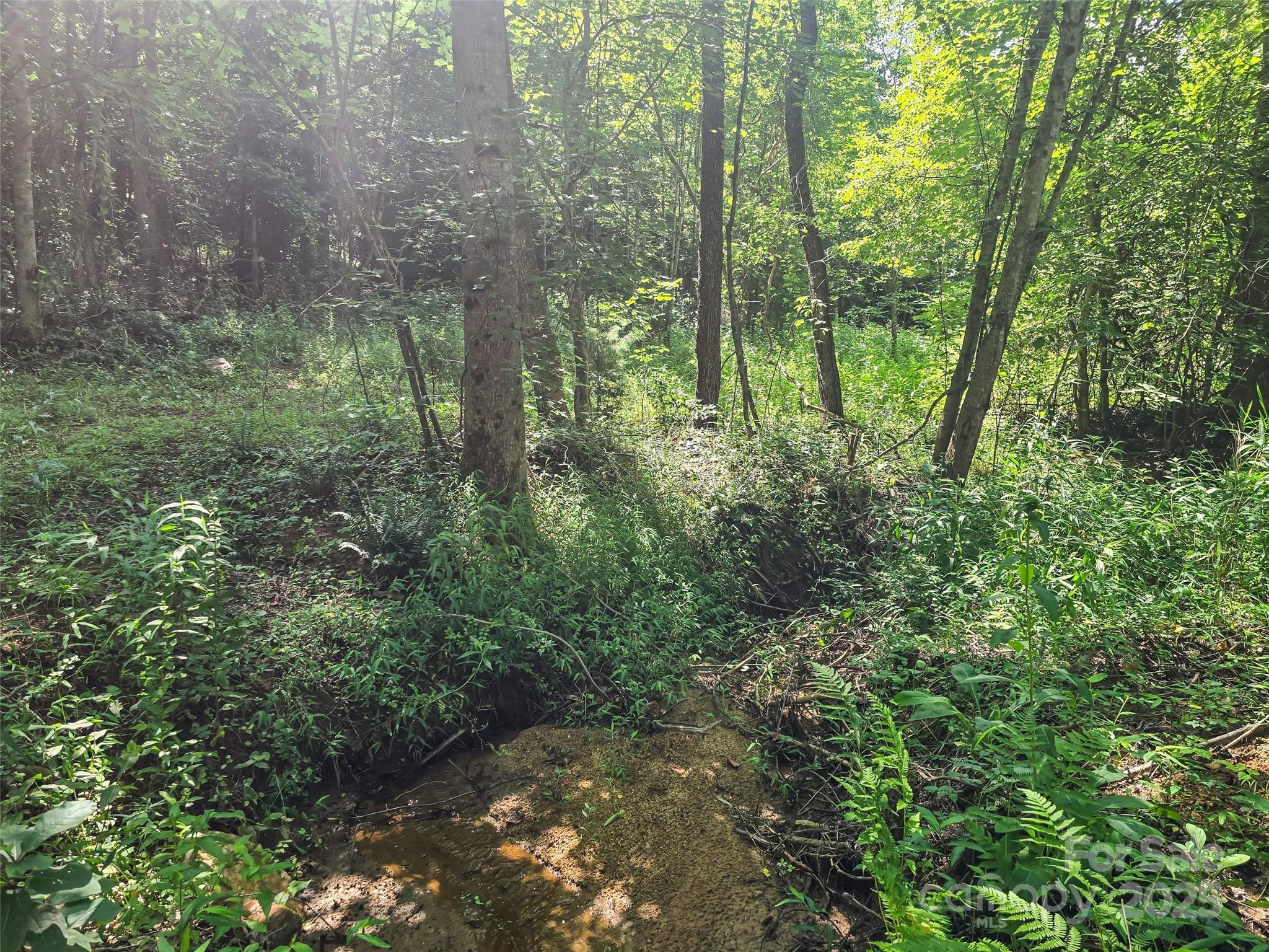 0000 Bills Creek Road Property Photo 18