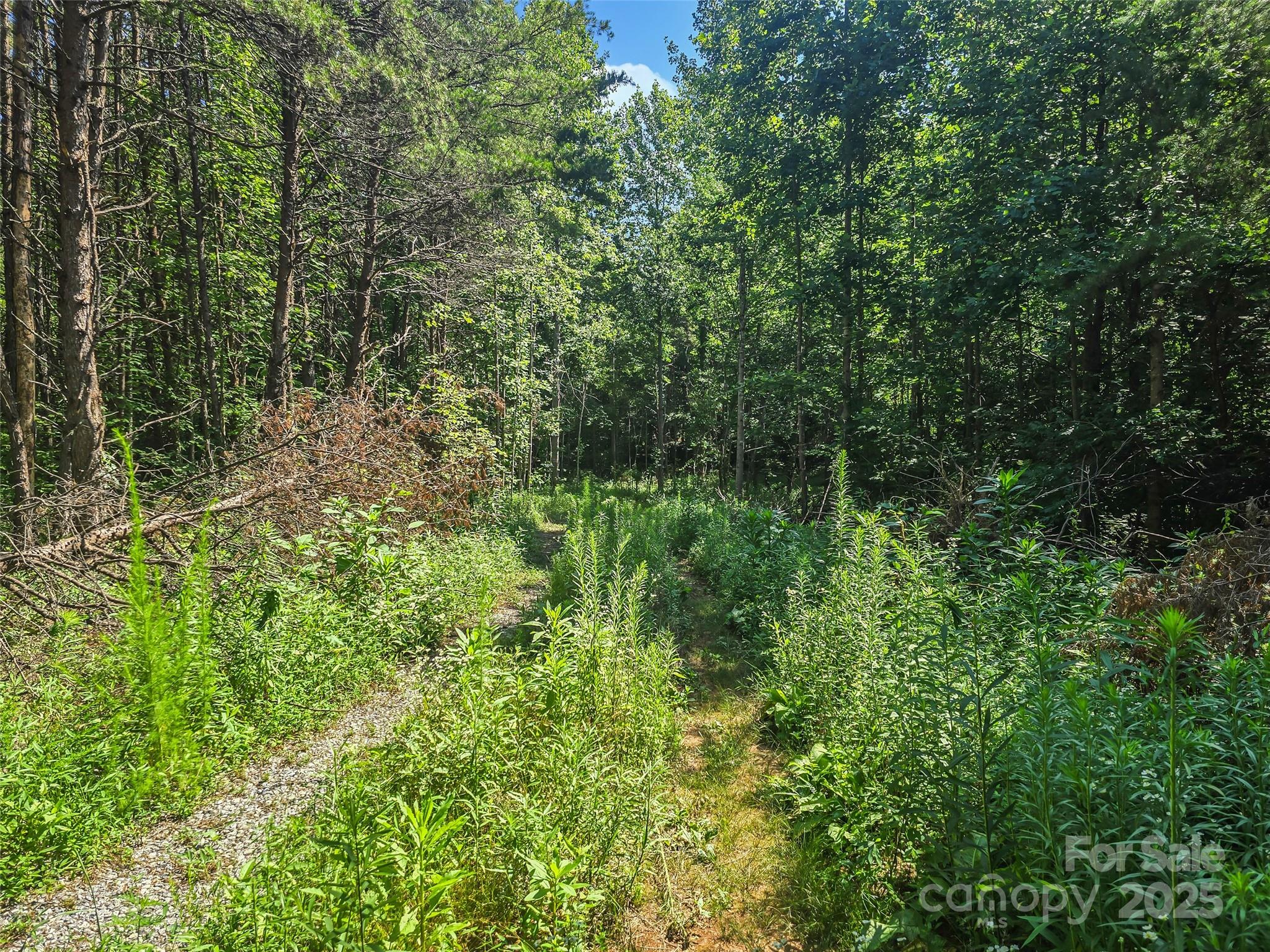 0000 Bills Creek Road Property Photo 25