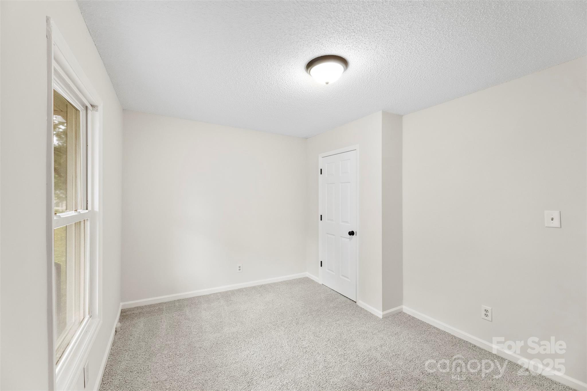 204 Live Oak Avenue Property Photo 16