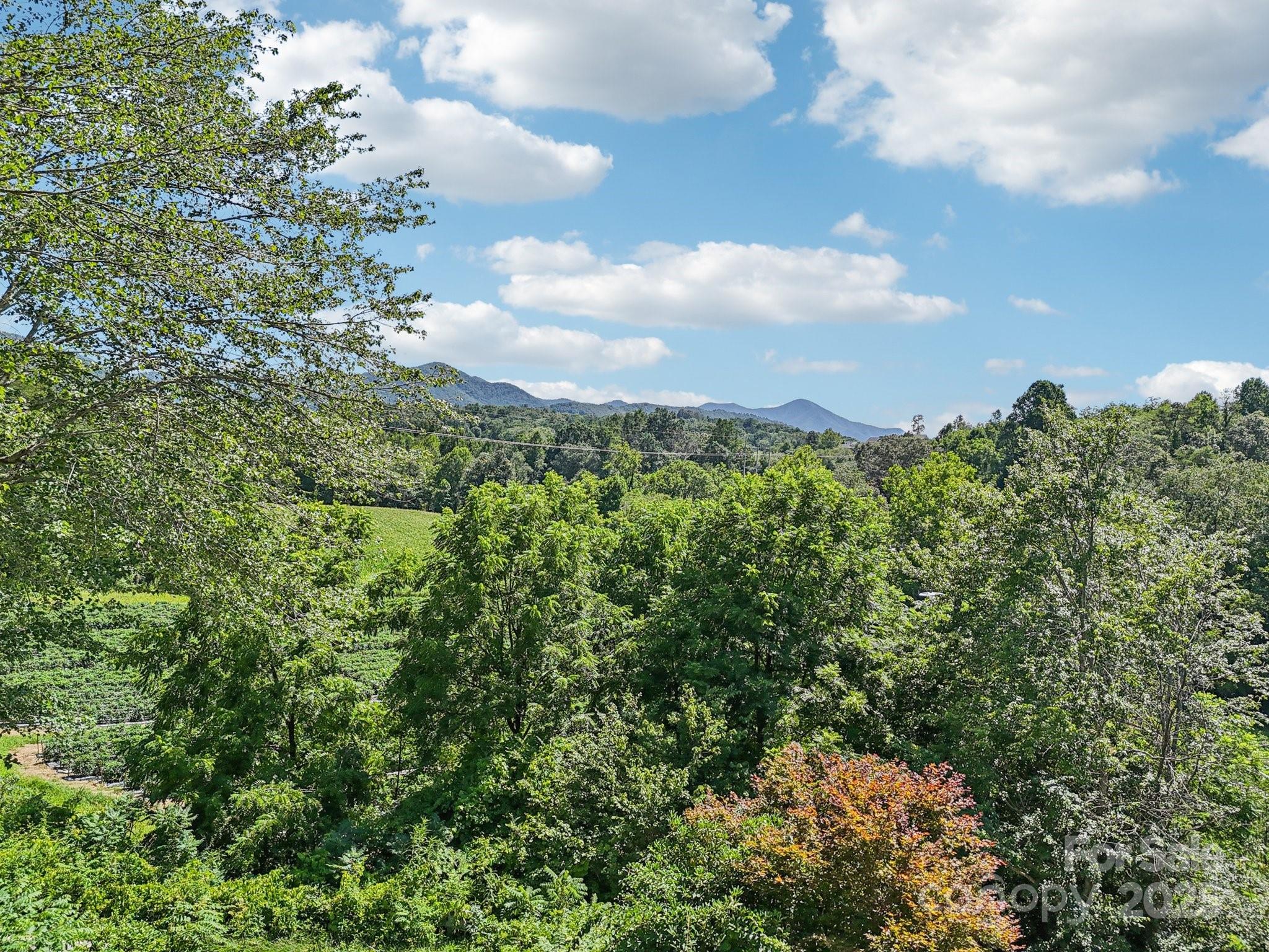 203 Beaverdam Road Property Photo 3