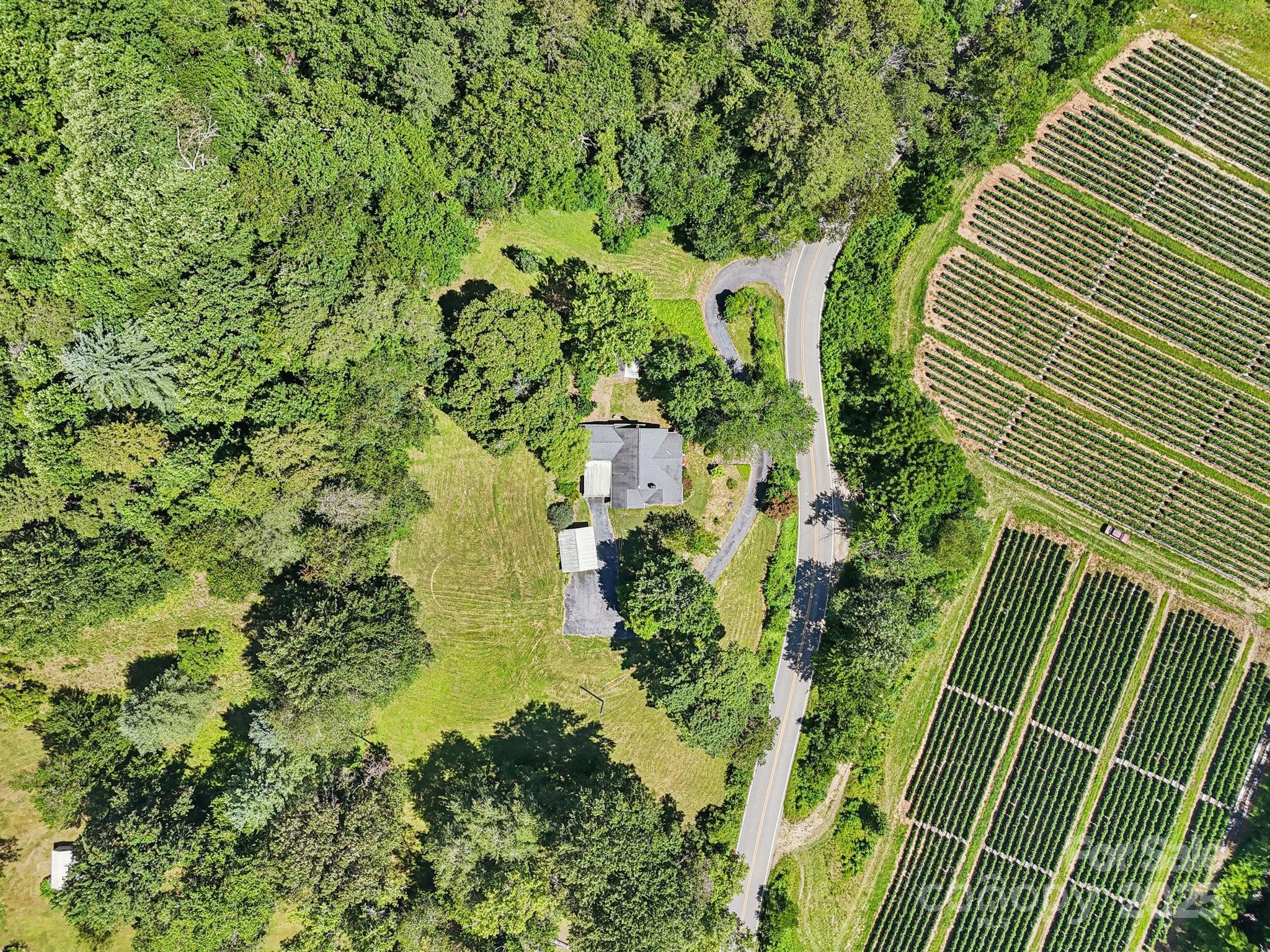 203 Beaverdam Road Property Photo 41